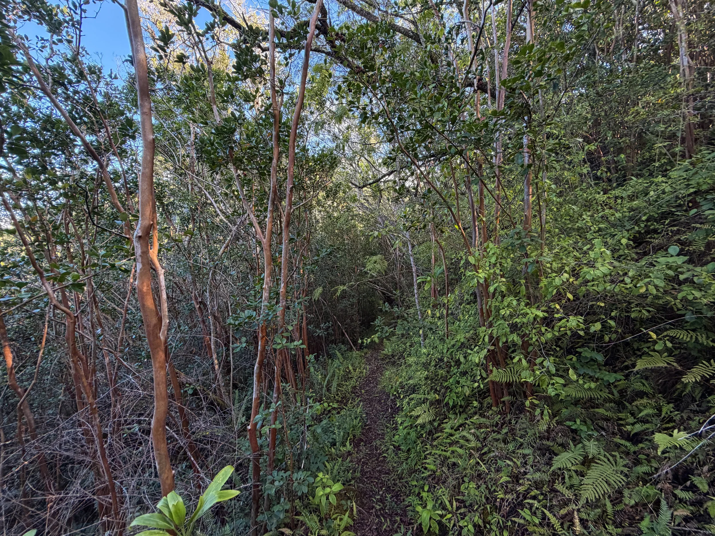Mokuleia Trail Oahu Hawaii
