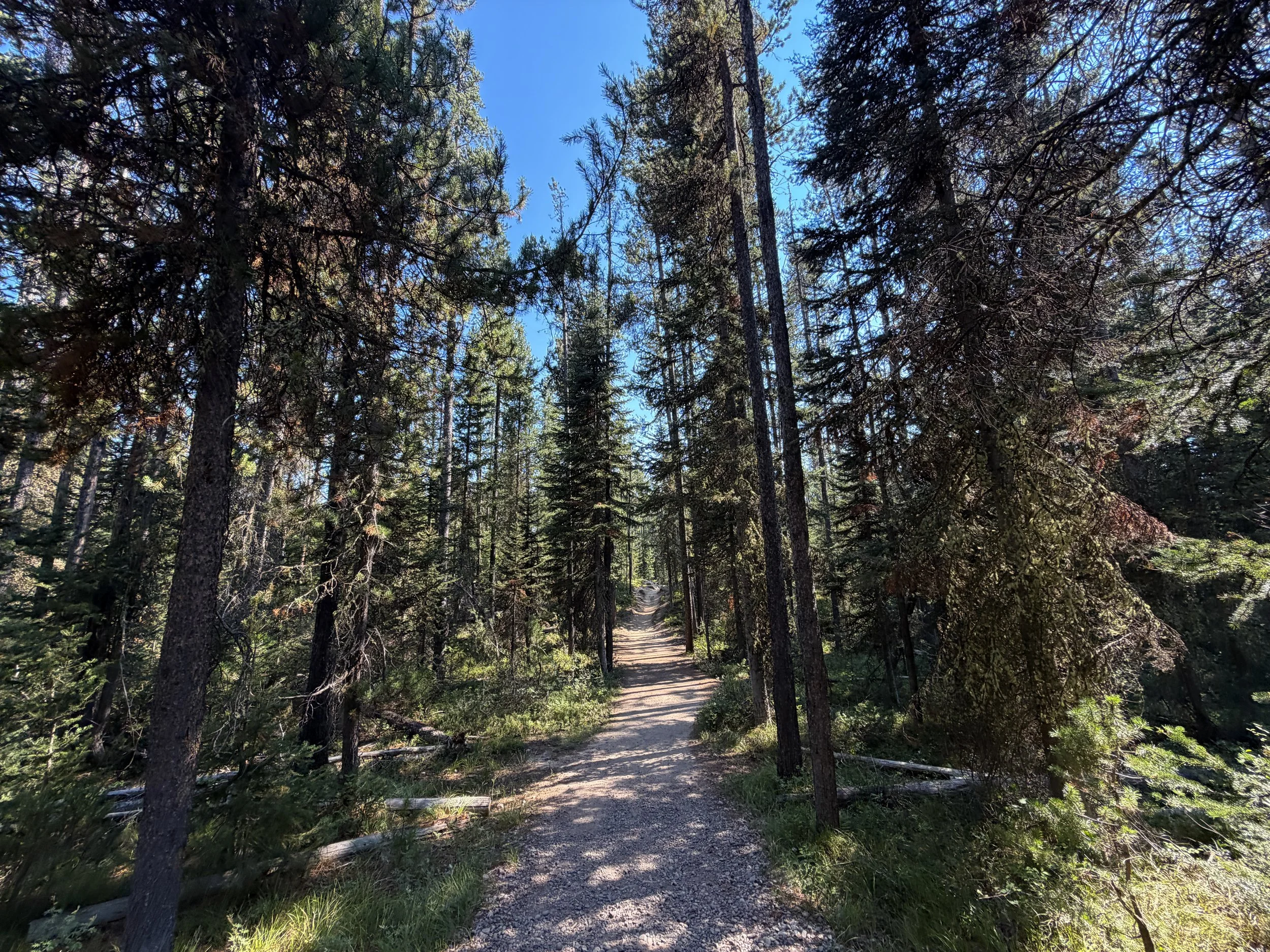 Jenny Lake Hike Grand Teton National Park Wyoming