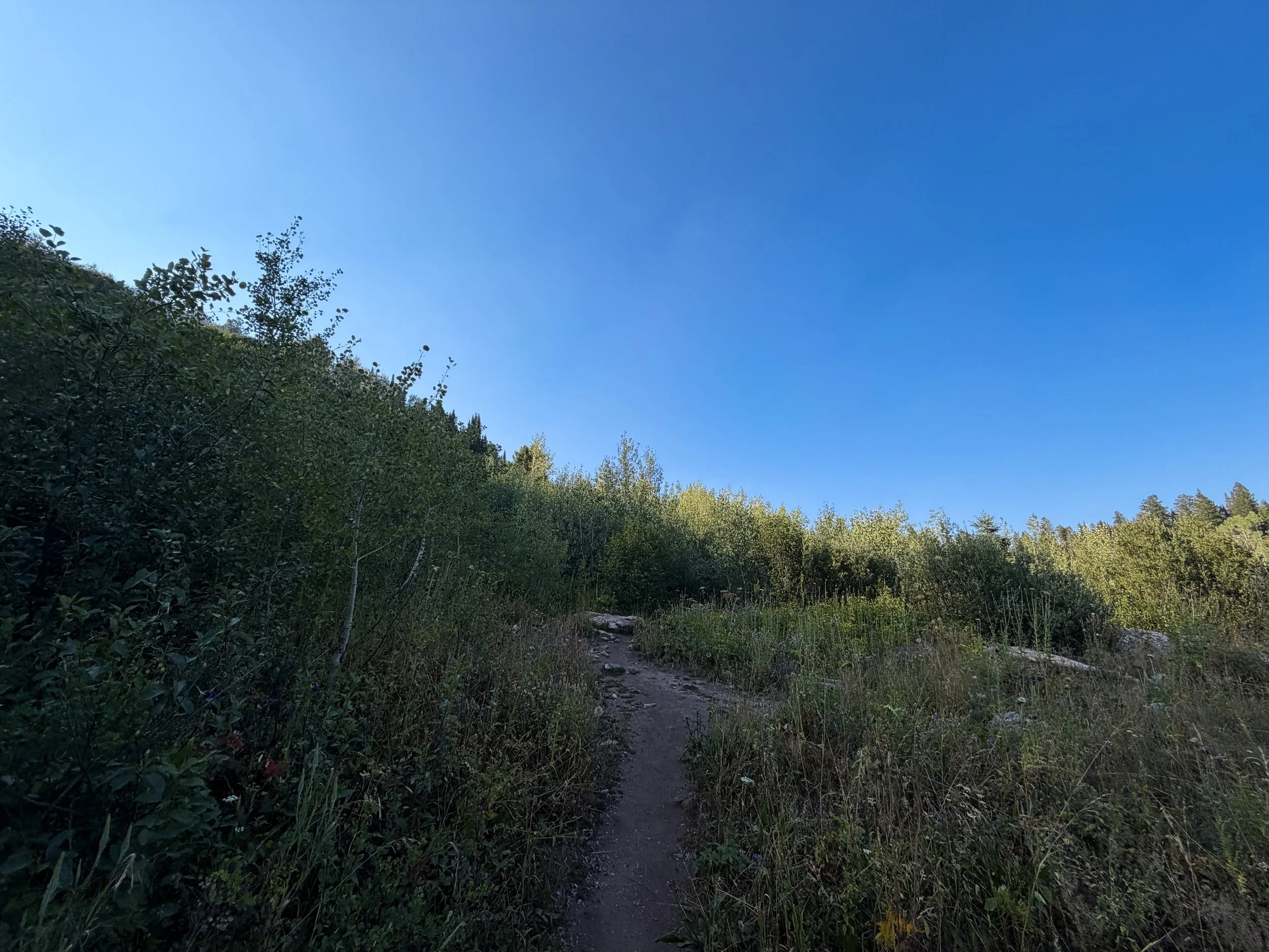 Moose Ponds Loop Hike Grand Teton National Park Wyoming