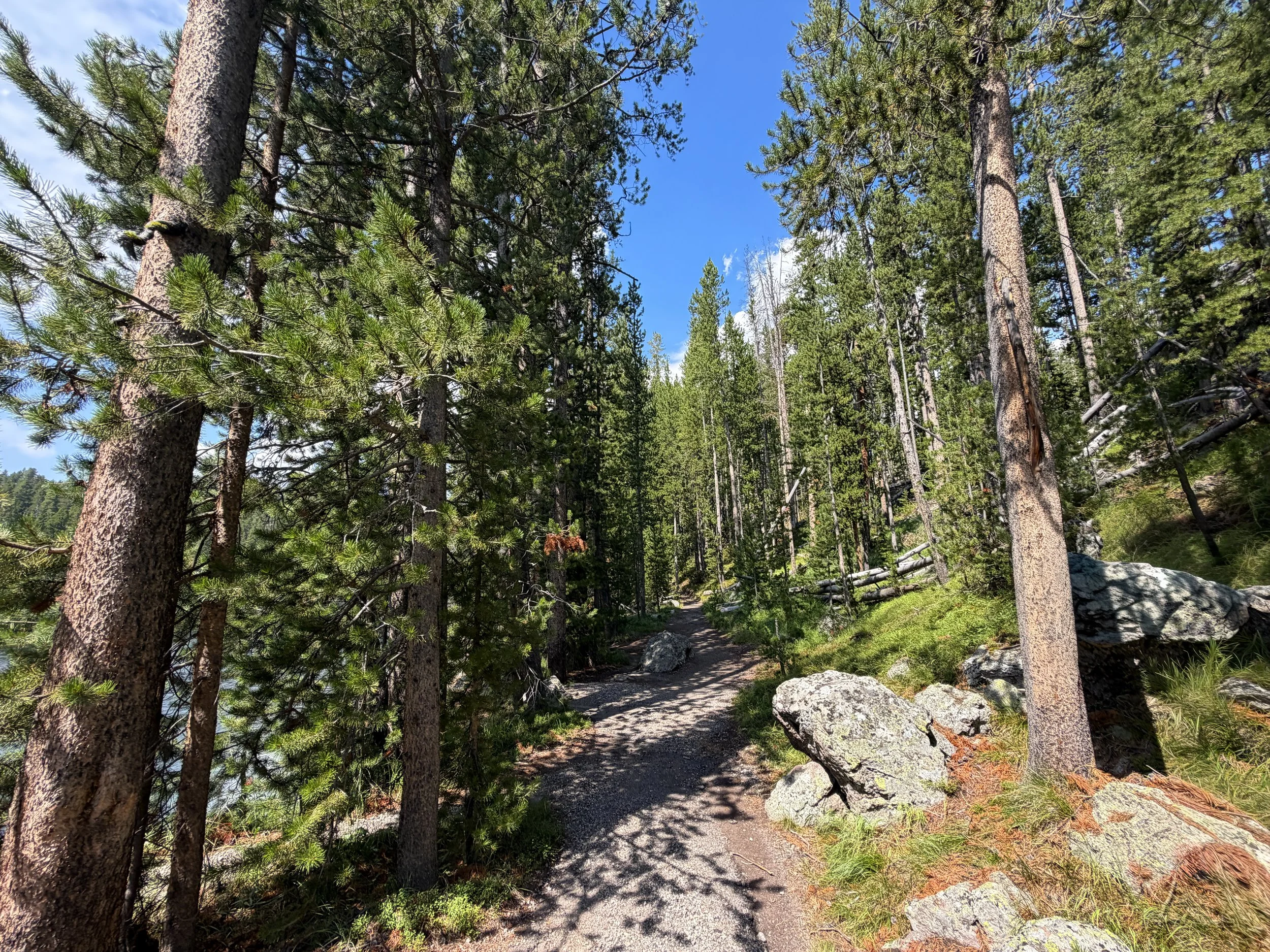 South Rim Trail Yellowstone National Park Wyoming