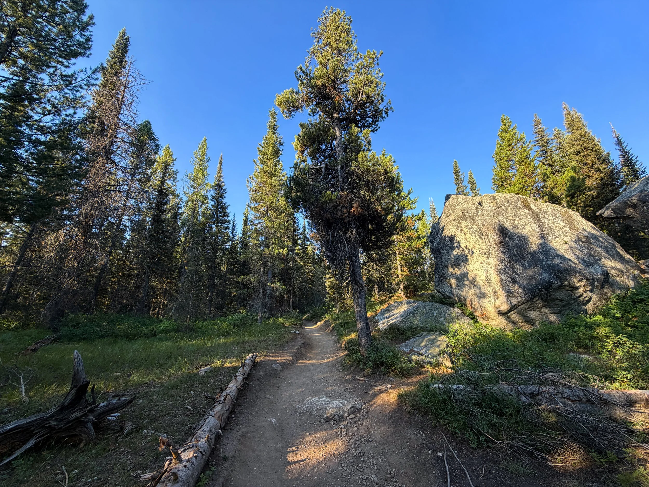 Delta Lake Trail via Lupine Meadows Grand Teton National Park Wyoming