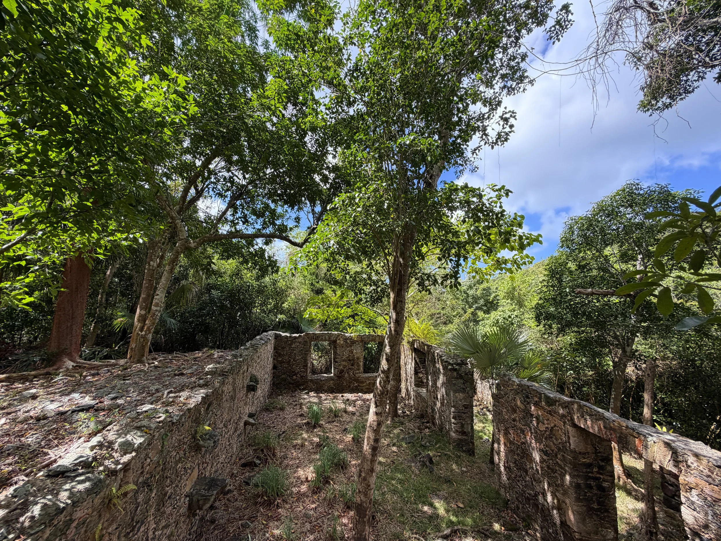 L'Esperance Trail Ruins Virgin Islands National Park