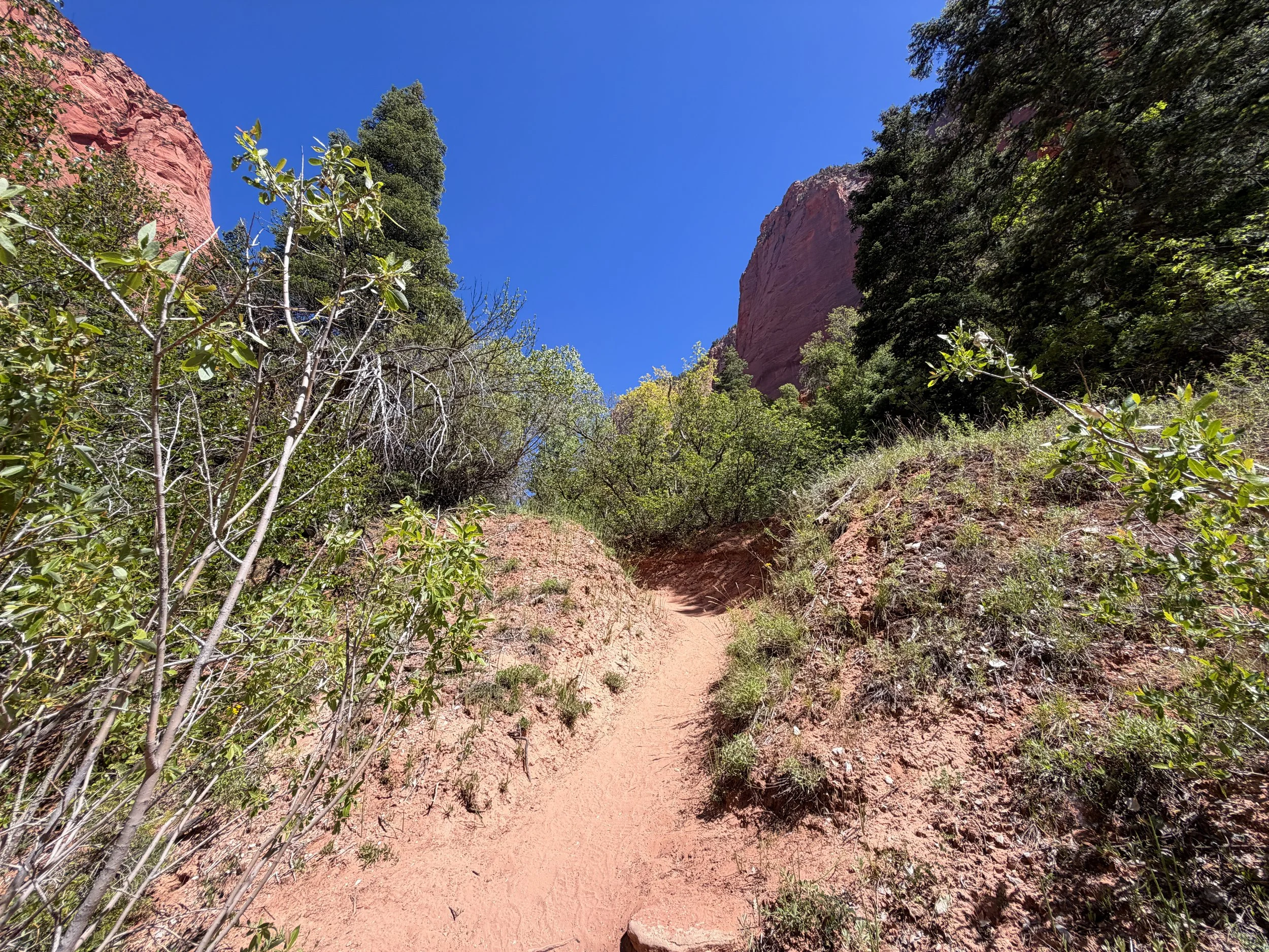 Taylor Creek Trail to Double Arch Alcove Zion National Park Utah