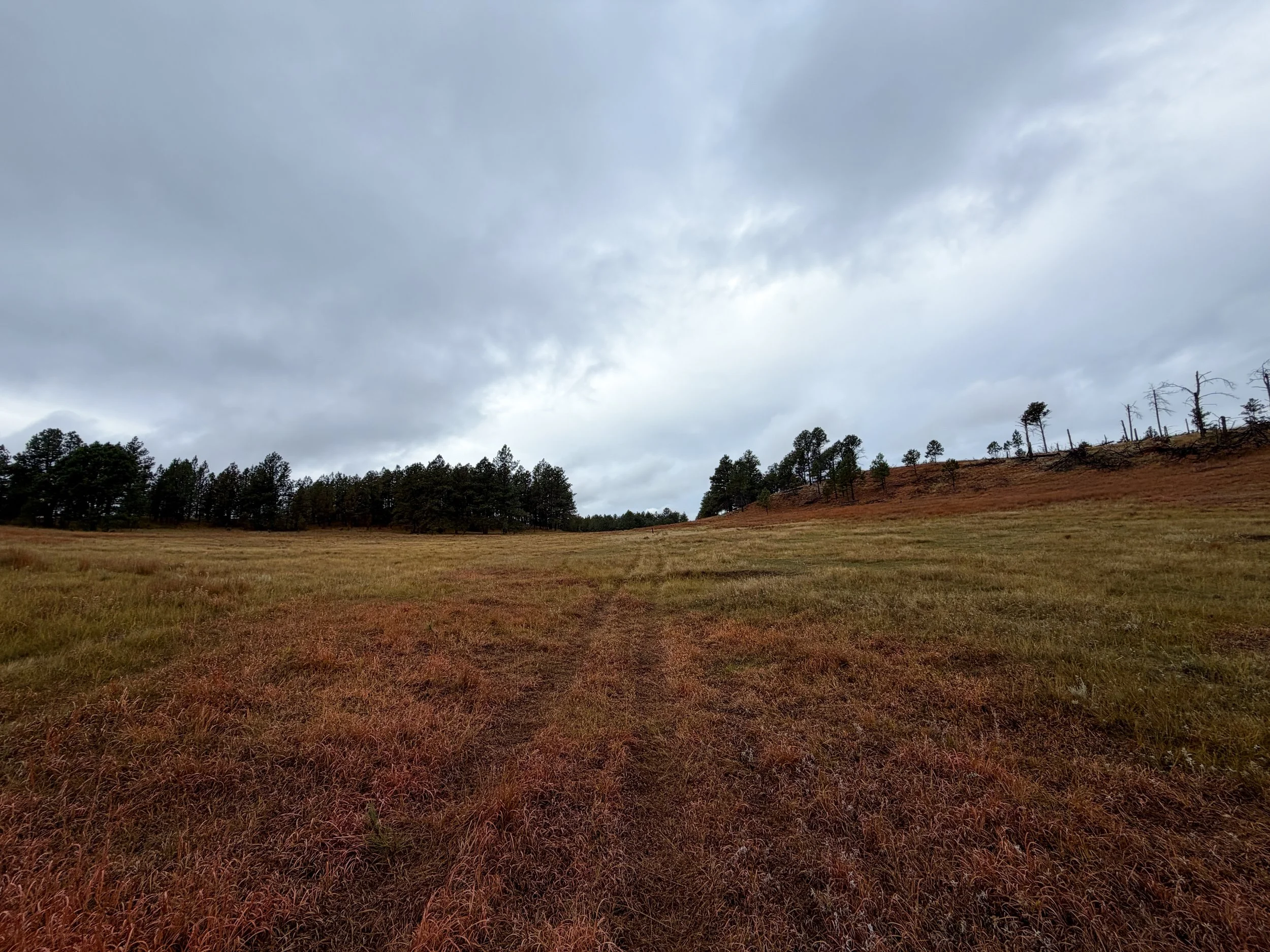 Highland Creek Trail to Wind Cave Canyon Wind Cave National Park South Dakota
