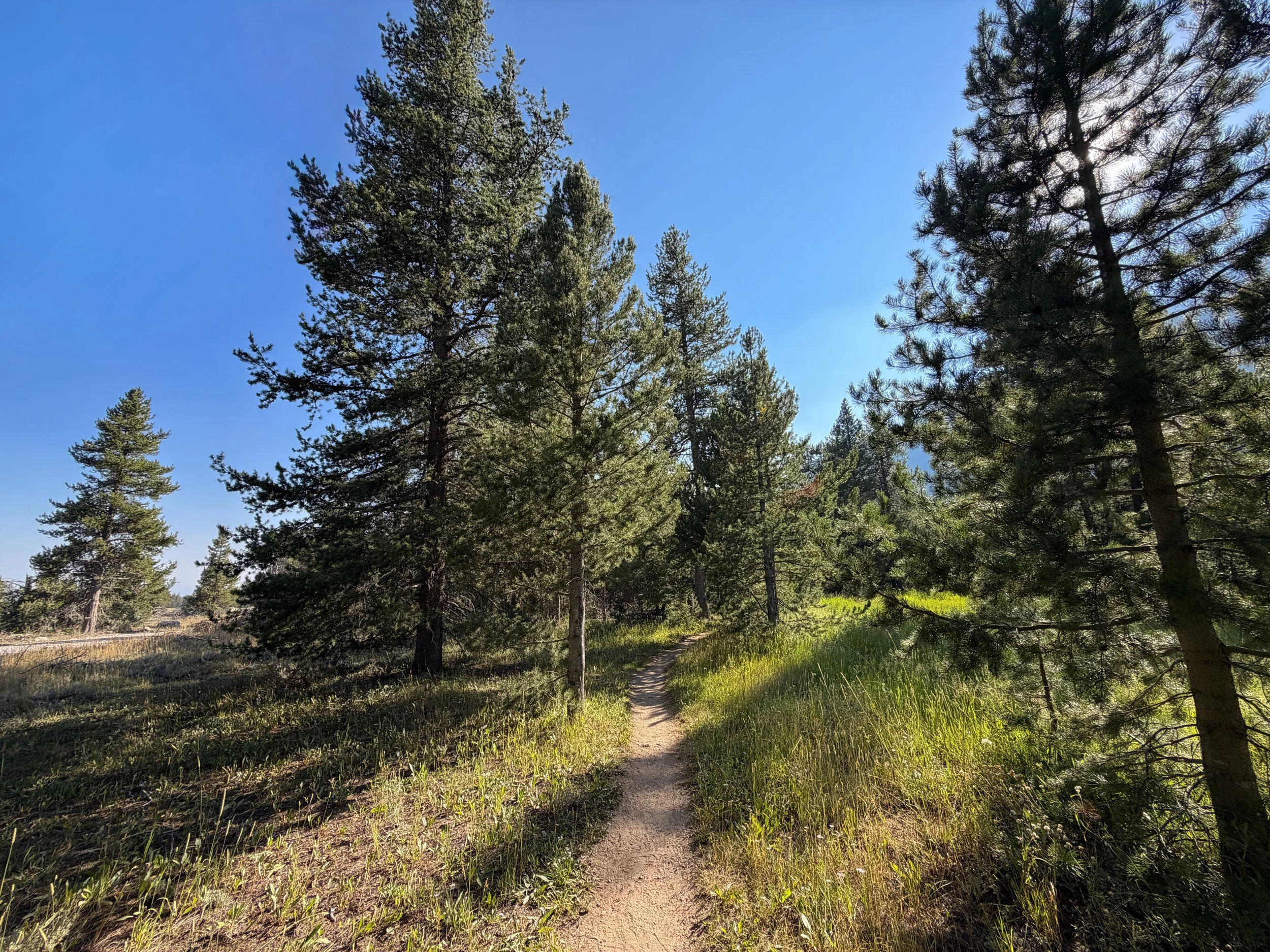 Moose Ponds Loop Trail Grand Teton National Park Wyoming