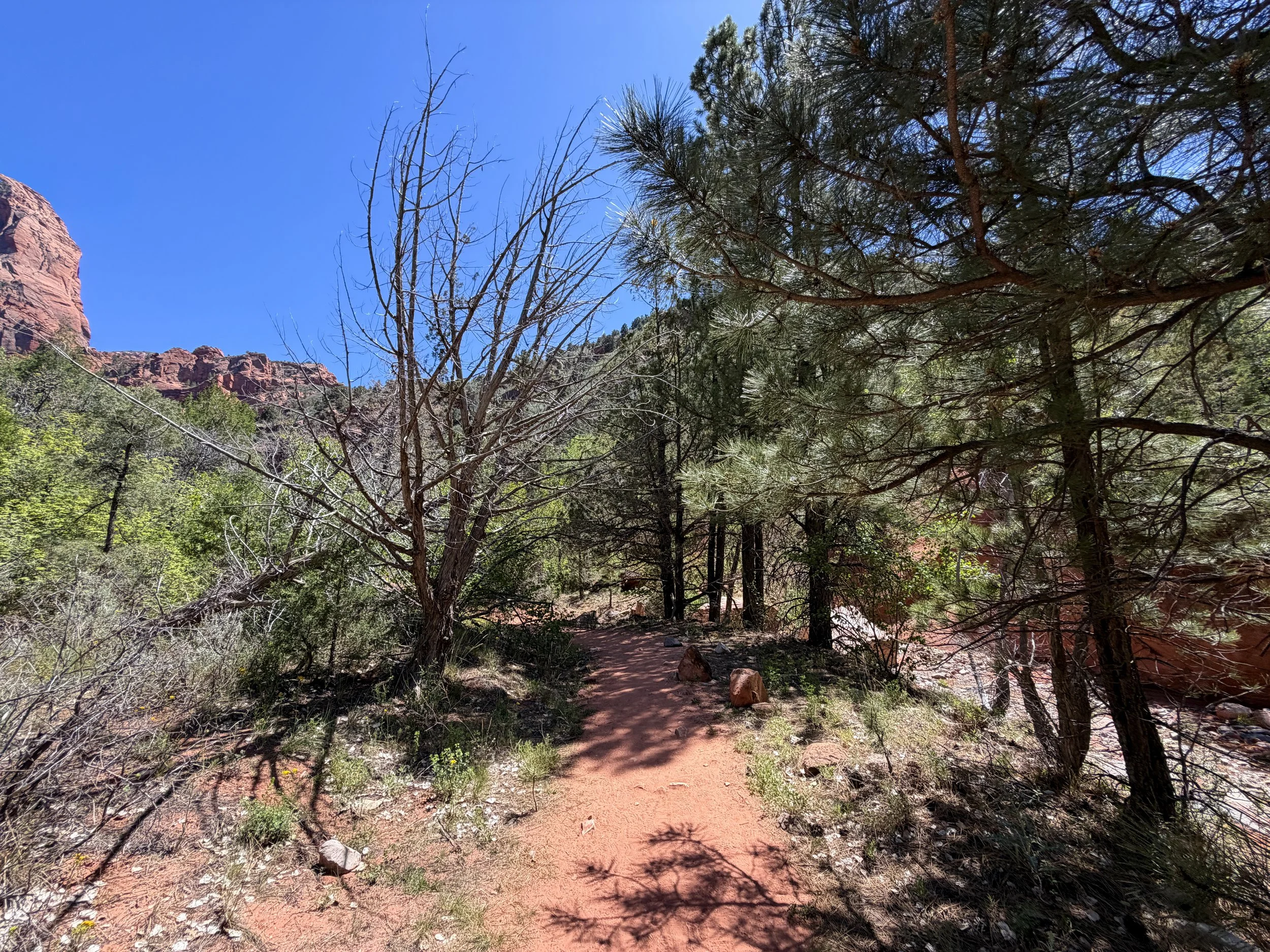 Middle Taylor Creek Hike Zion National Park Utah