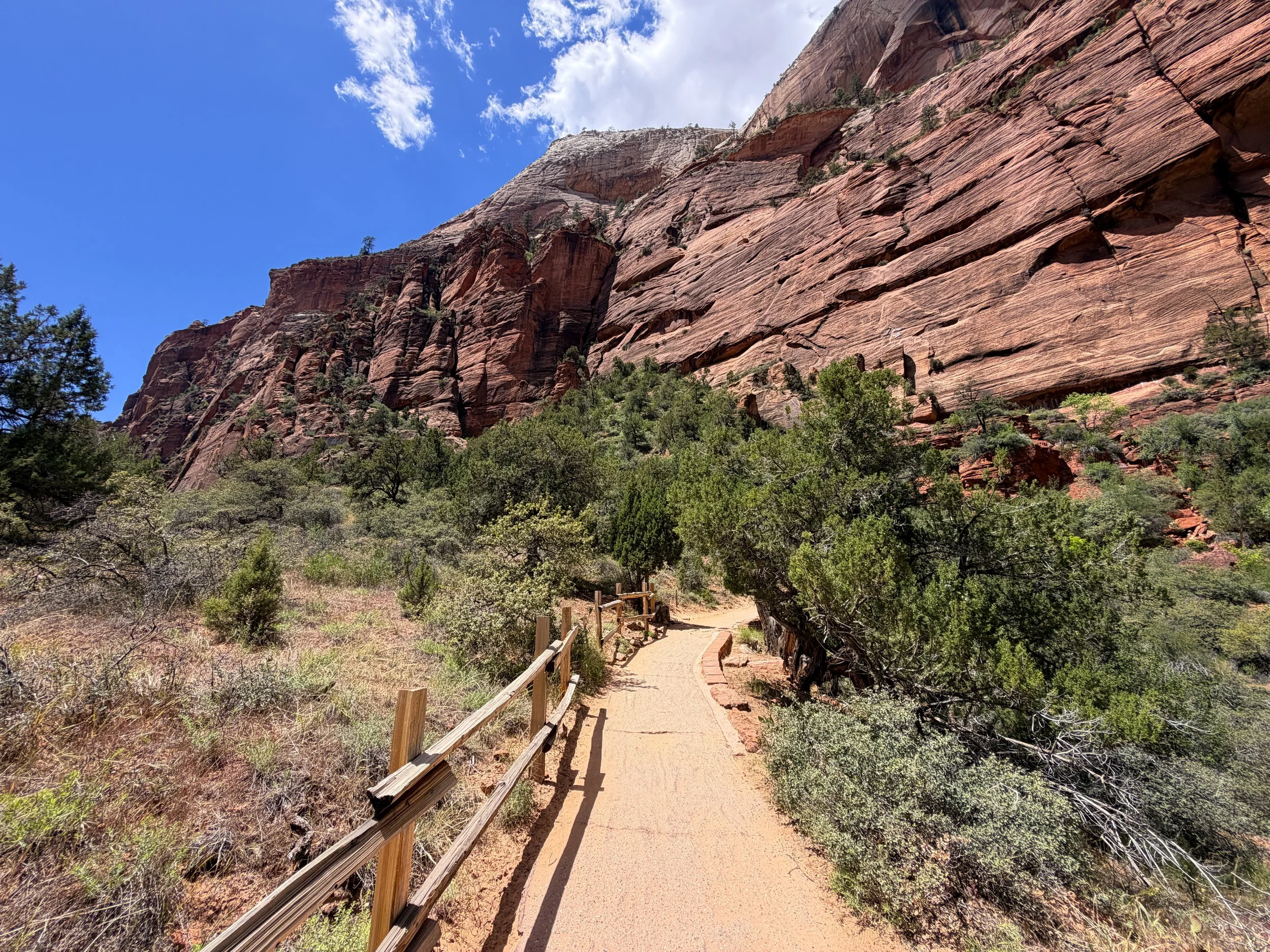 Angels Landing Trail Switchbacks Zion National Park Utah