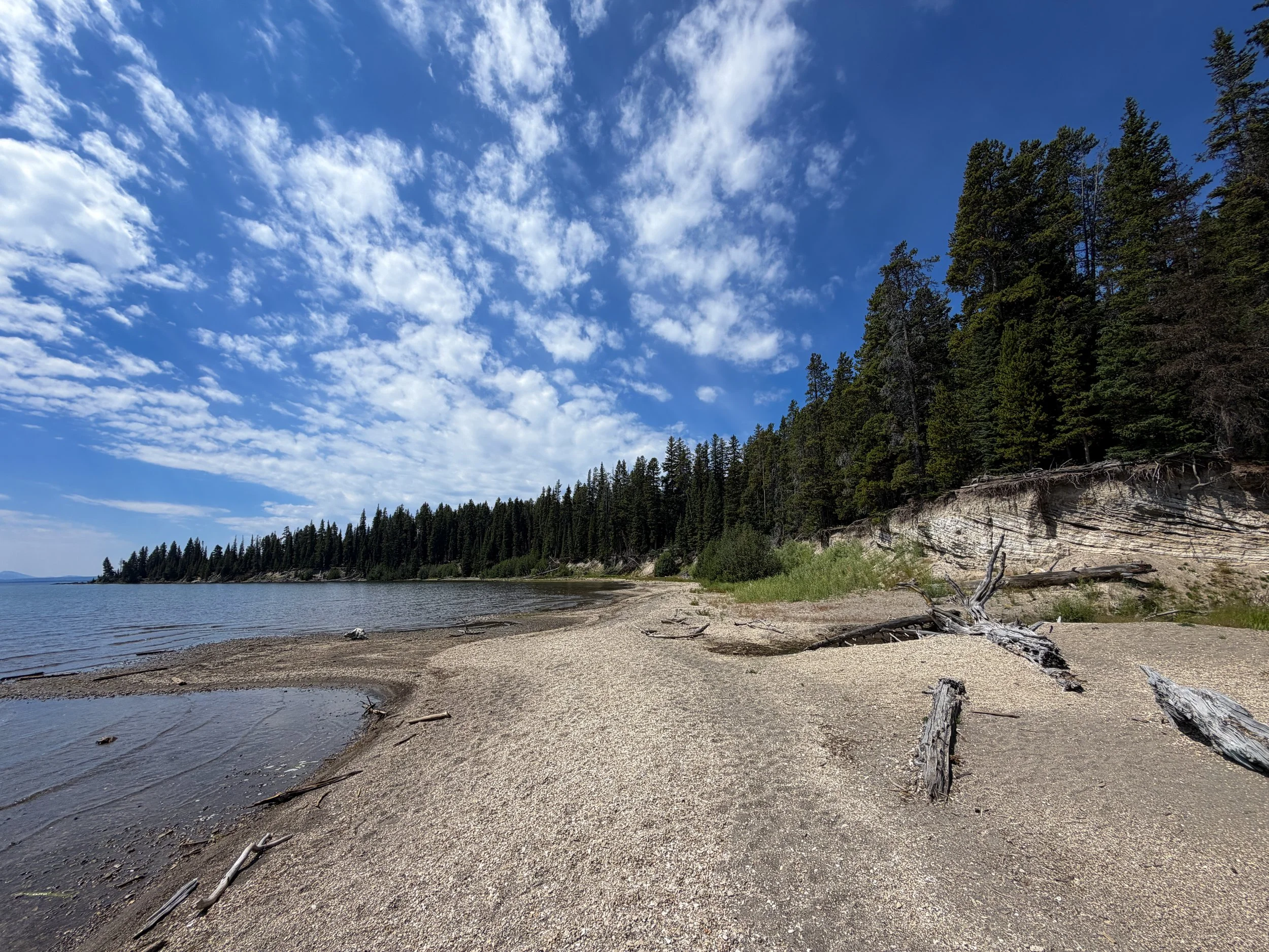 Storm Point Trail Yellowstone National Park Wyoming