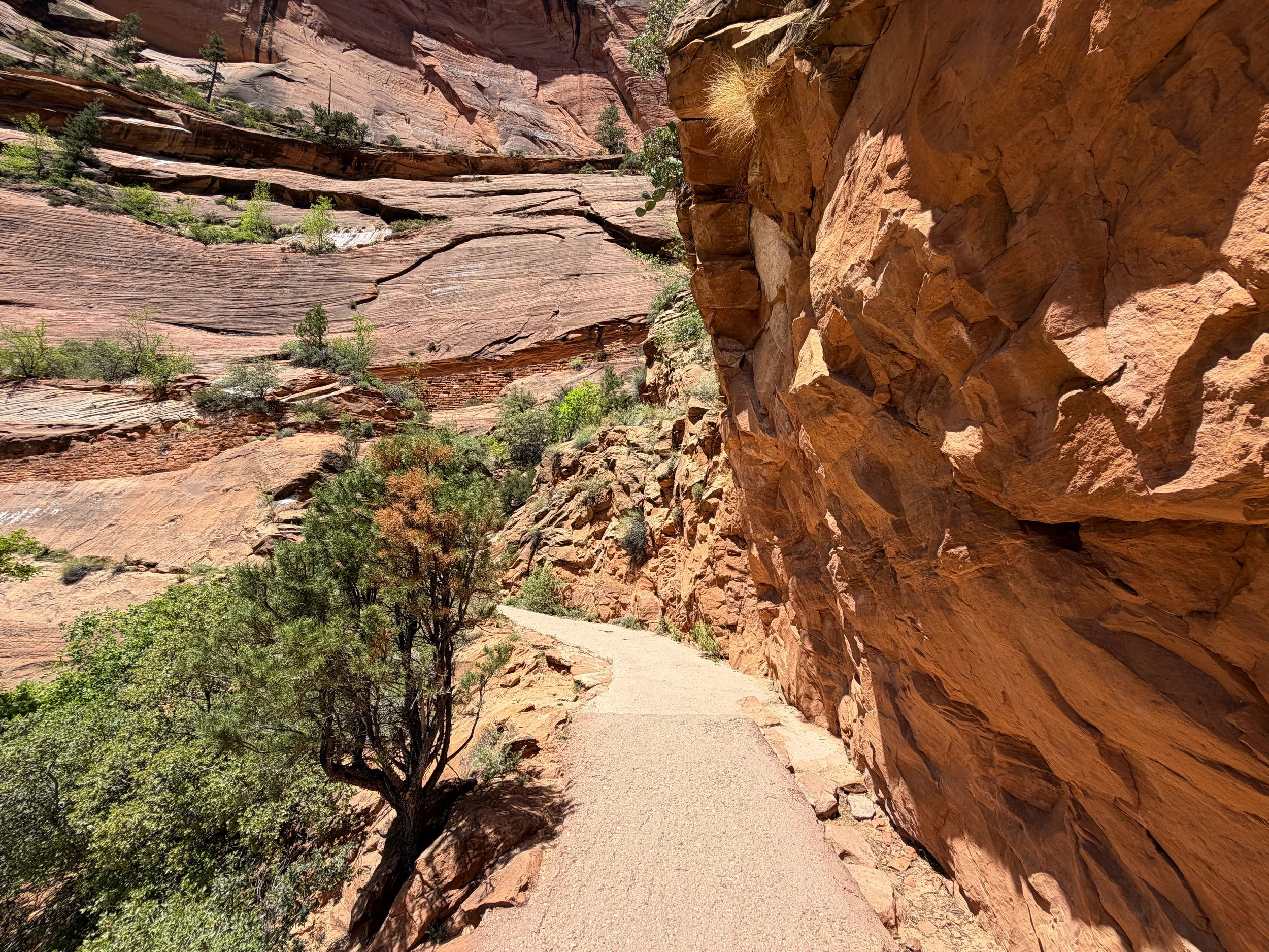 Angels Landing Trail Zion National Park Utah