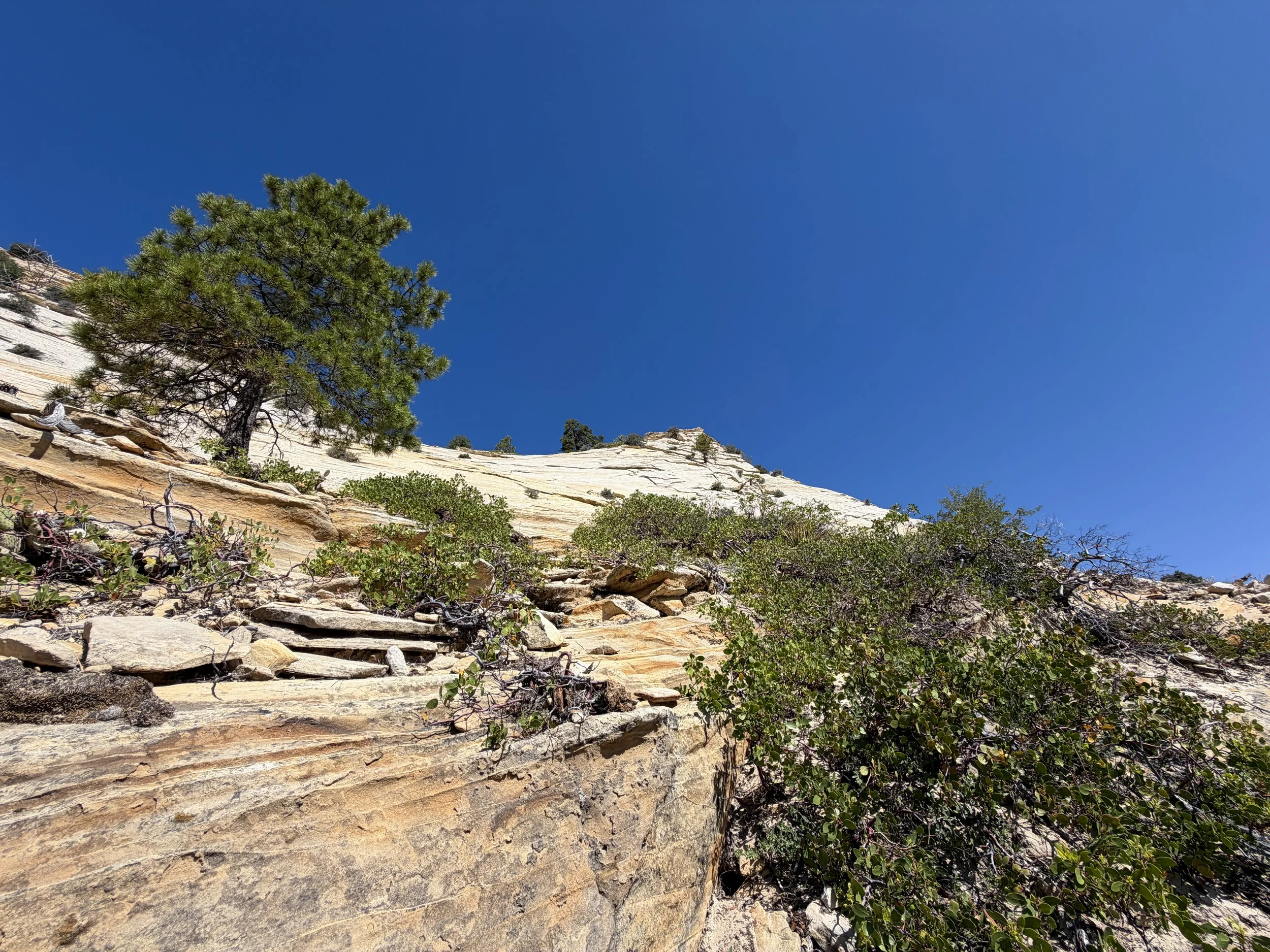 South Ariel Peak Hike Zion National Park Utah