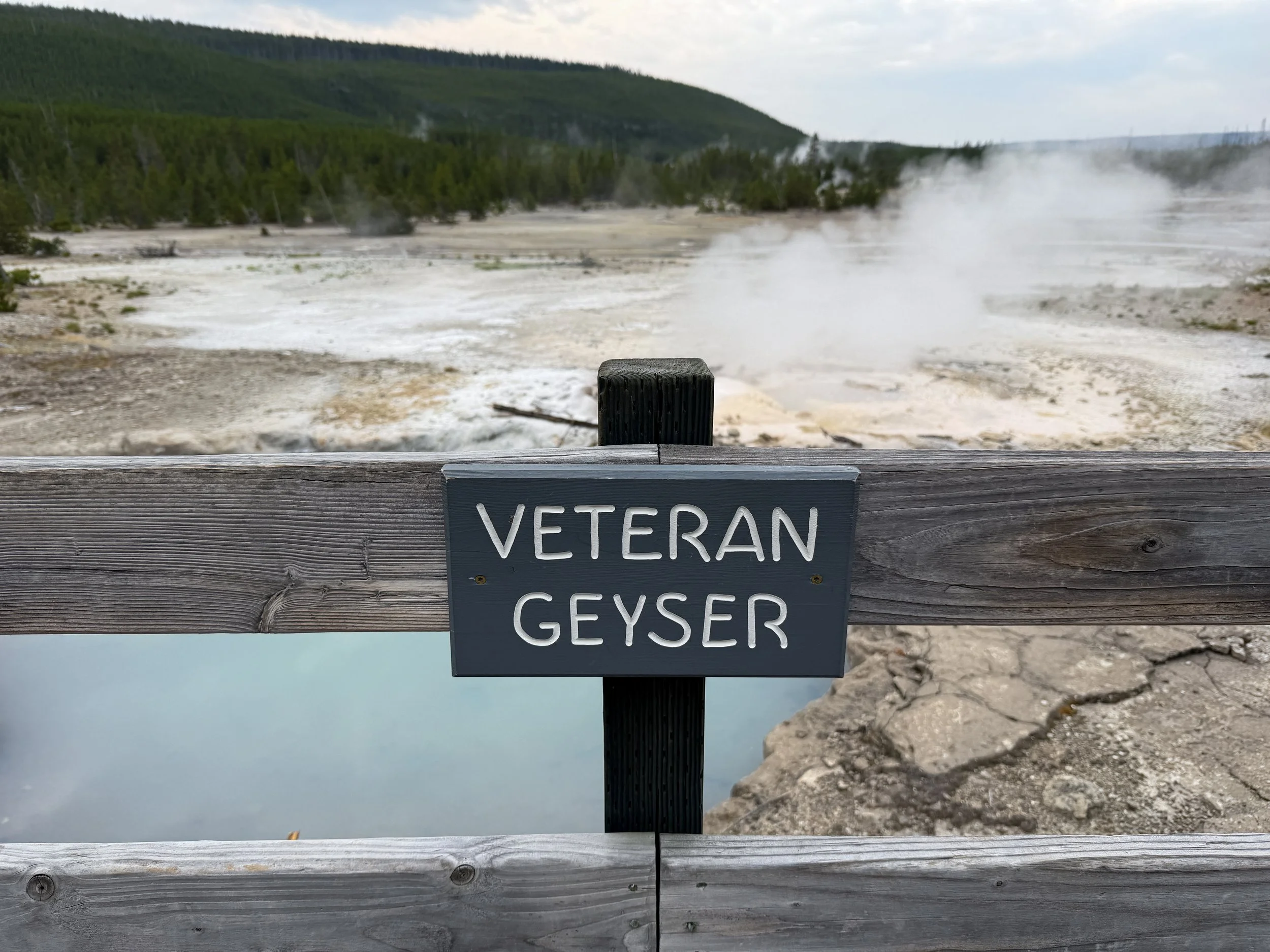 Veteran Geyser Norris Geyser Basin Trail Yellowstone National Park Wyoming