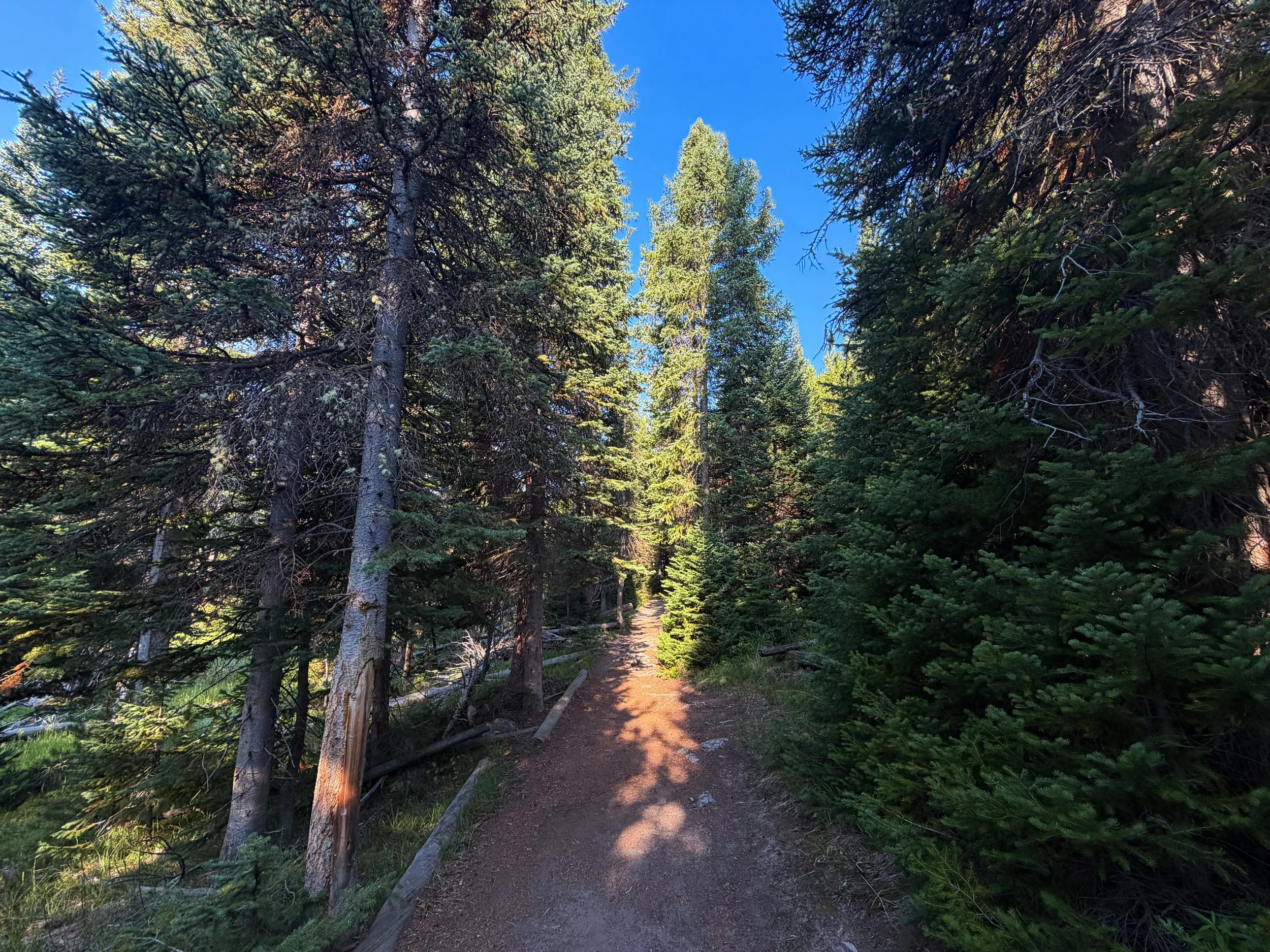Mystic Falls Loop Trail Yellowstone National Park Wyoming