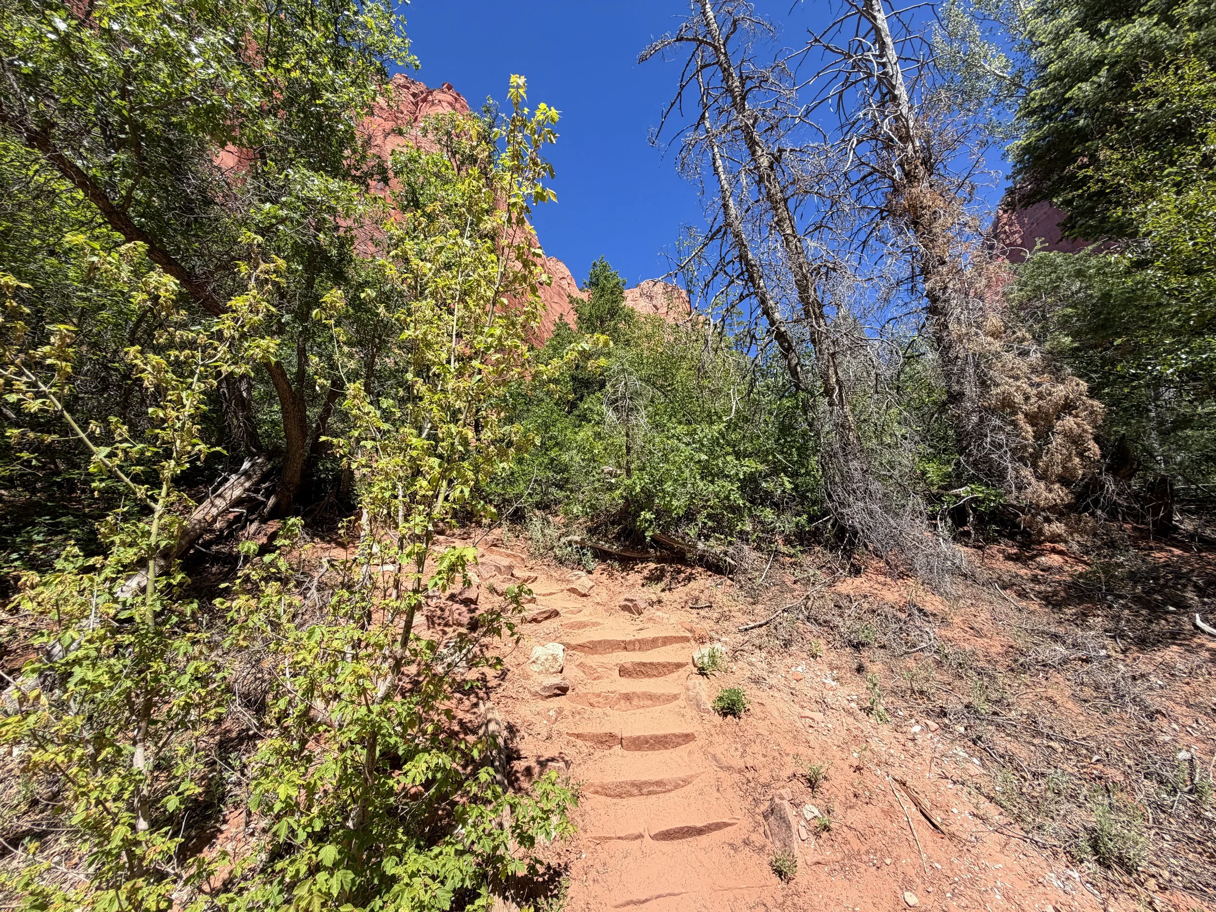 Taylor Creek Trail Zion National Park Utah