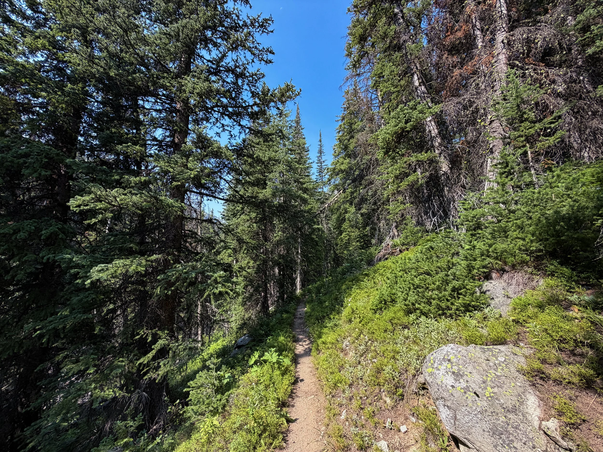 East Rosebud Trail The Beaten Path Beartooth Mountains Montana