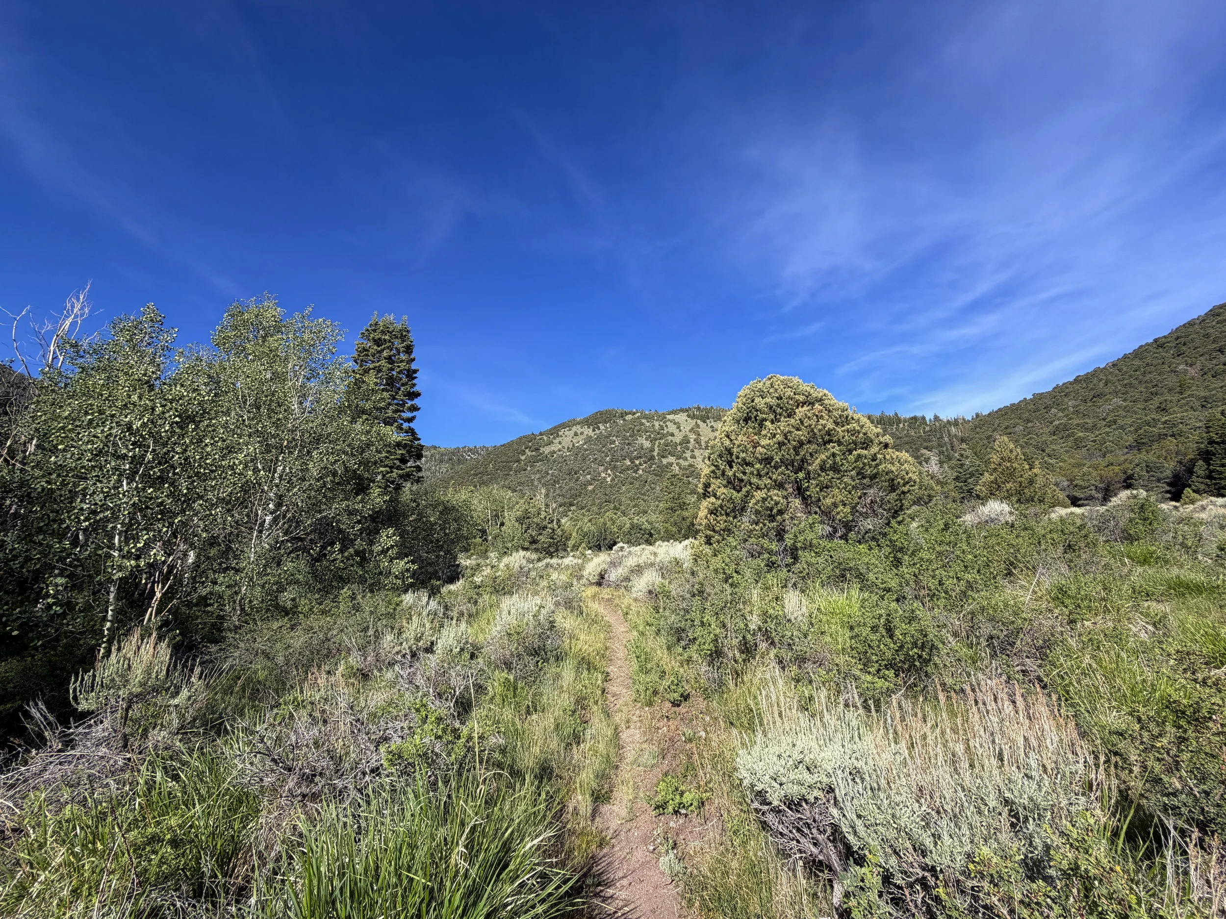 Pole Canyon Loop Trail Great Basin National Park Nevada