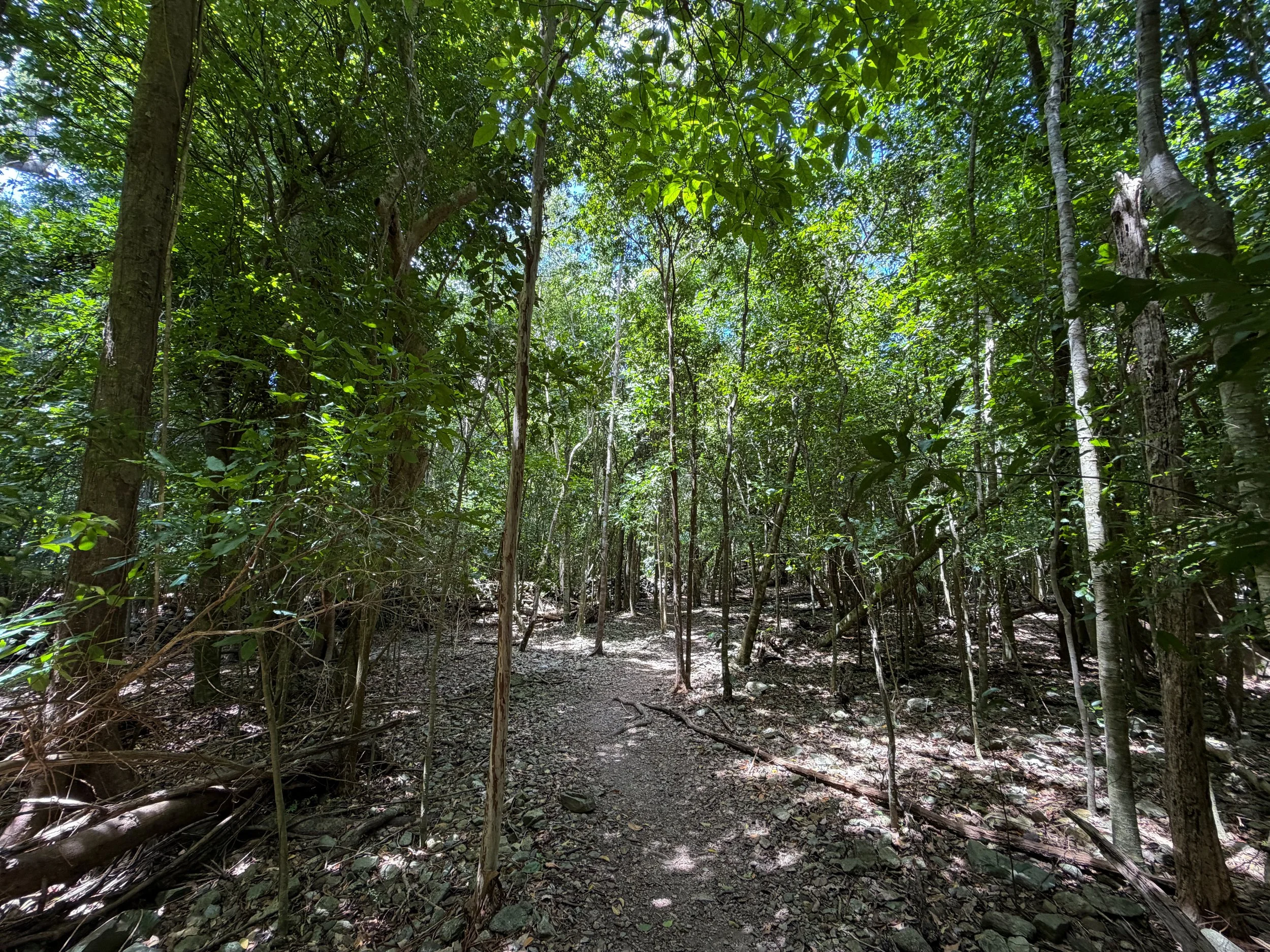 Petroglyph Trail Virgin Islands National Park