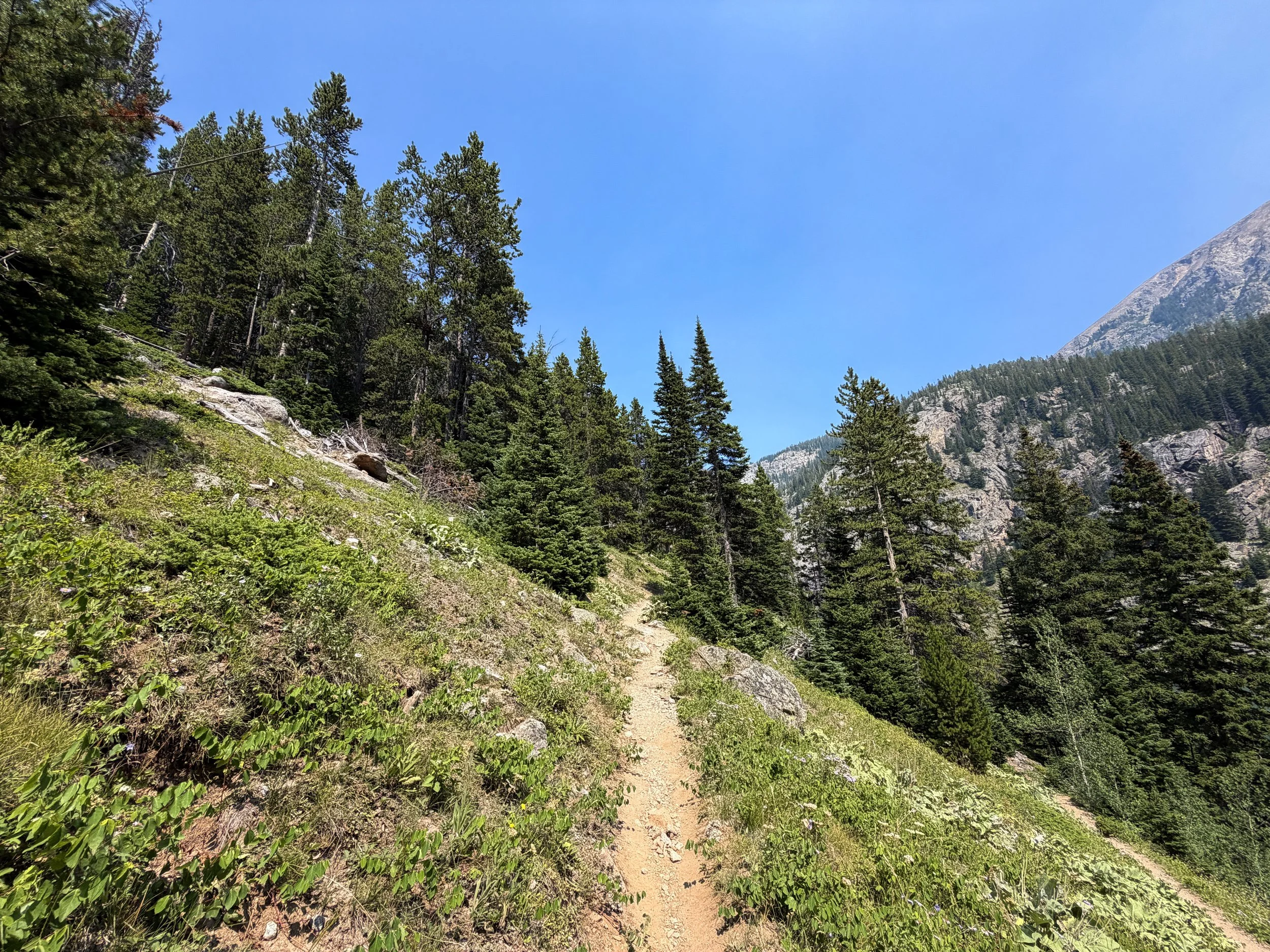 East Rosebud Trail The Beaten Path Beartooth Mountains Montana