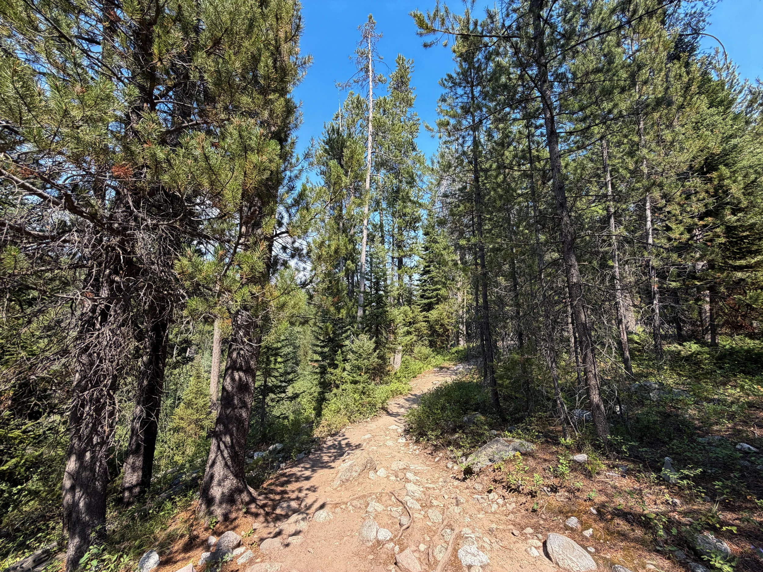 Phelps Lake Loop Trail Grand Teton National Park Wyoming
