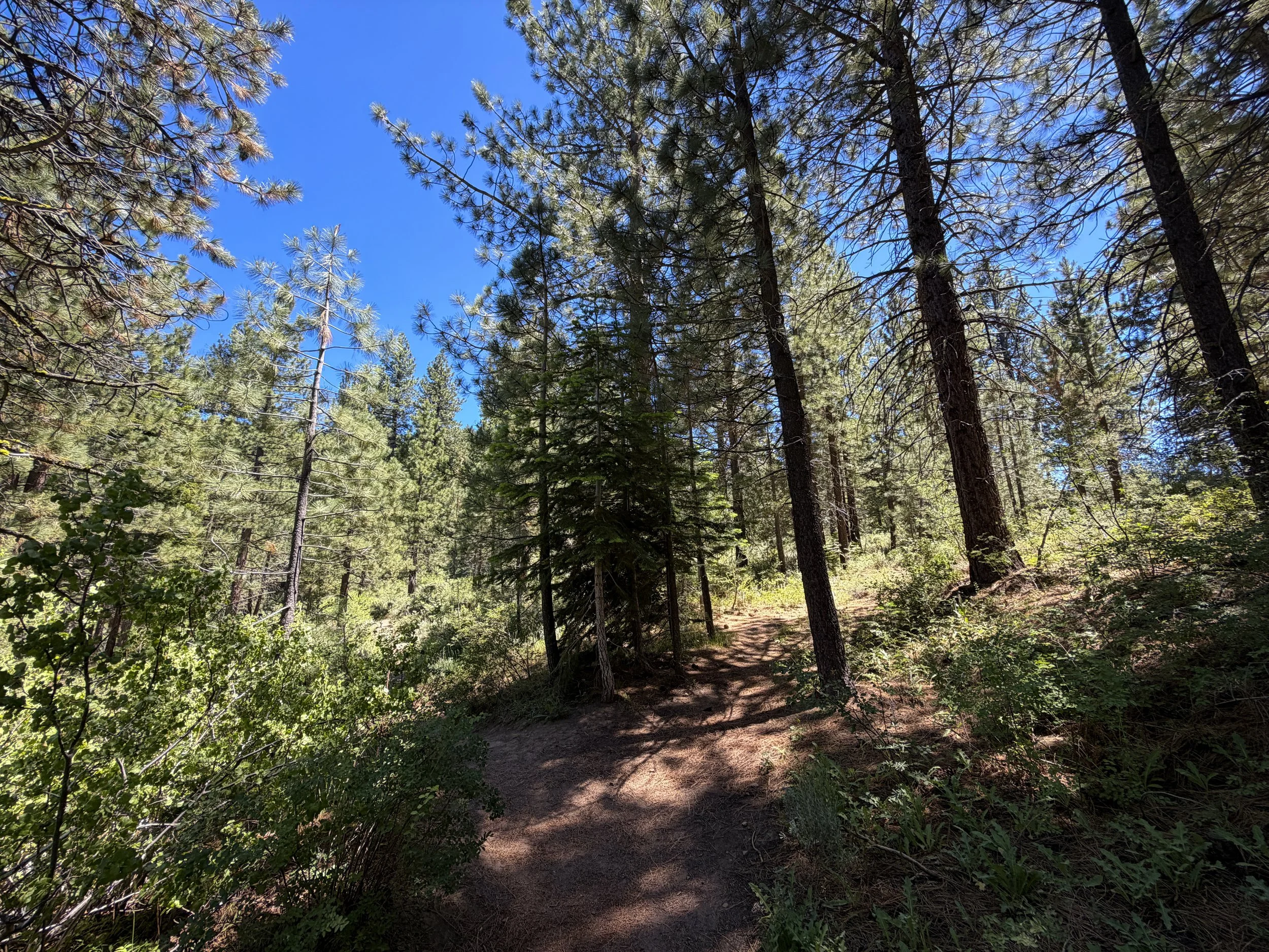 Spooner Lake Trail Lake Tahoe Nevada