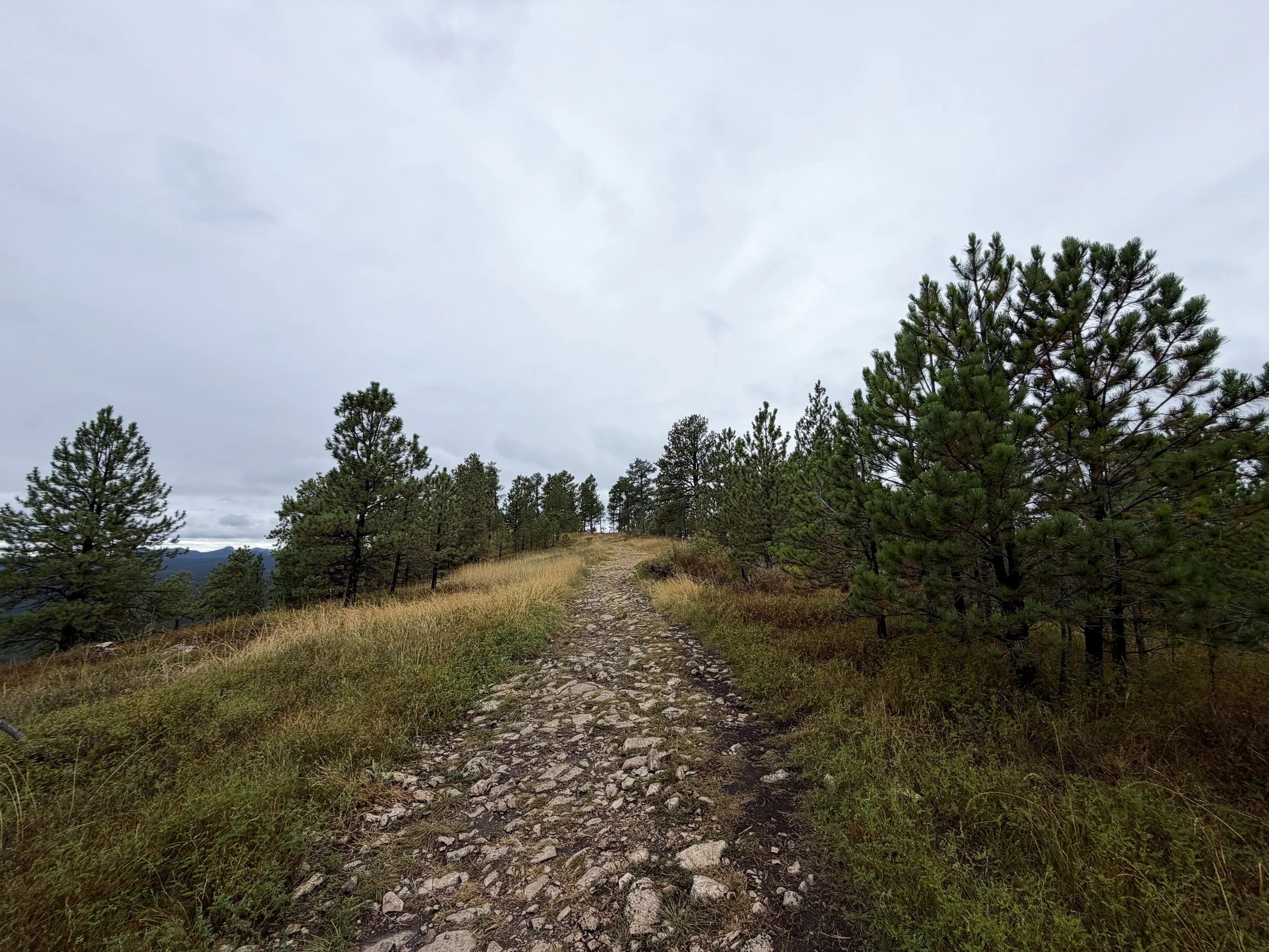 Buzzards Roost Trail Black Hills Rapid City South Dakota