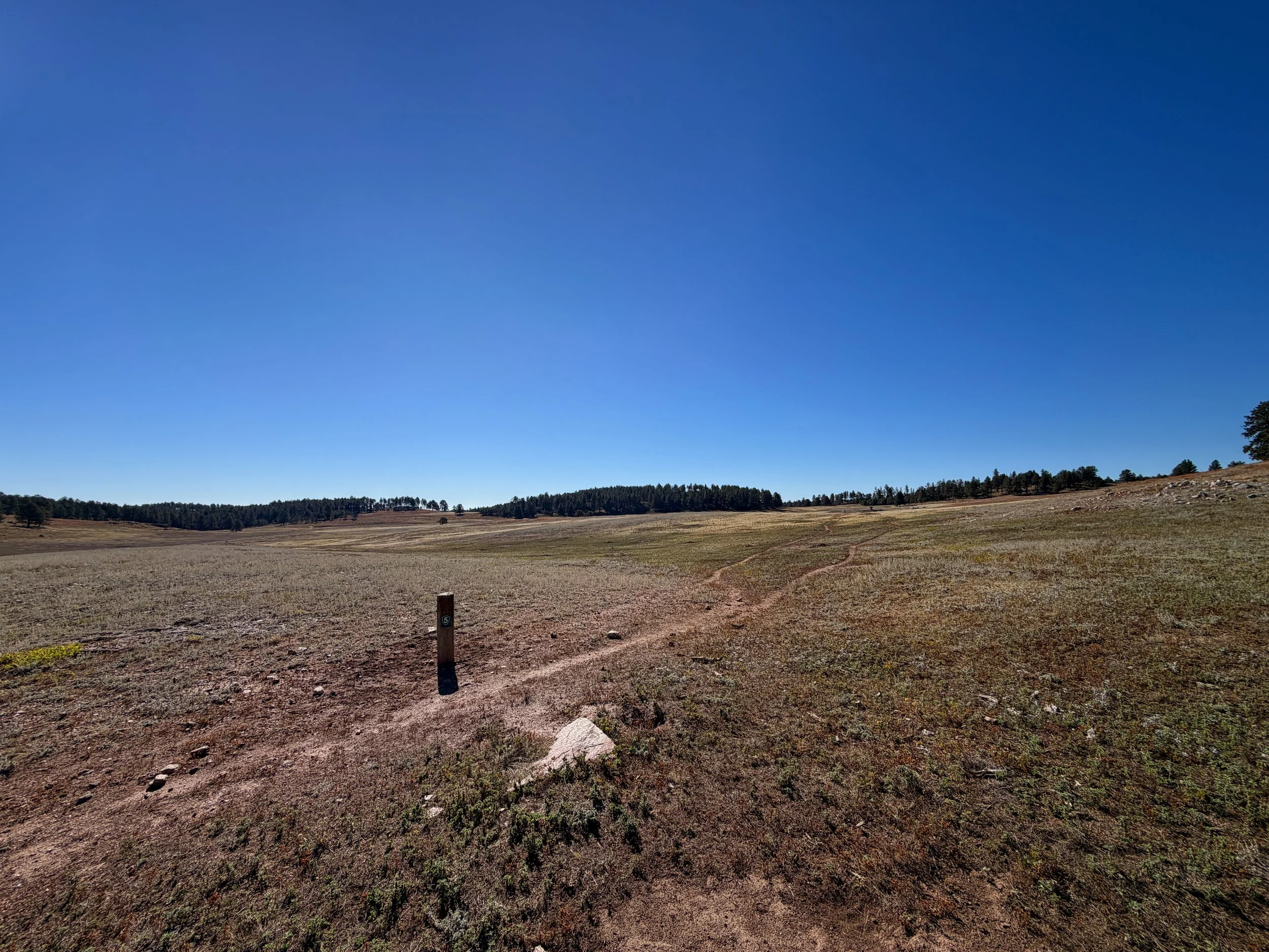 Sanctuary Trail Wind Cave National Park South Dakota