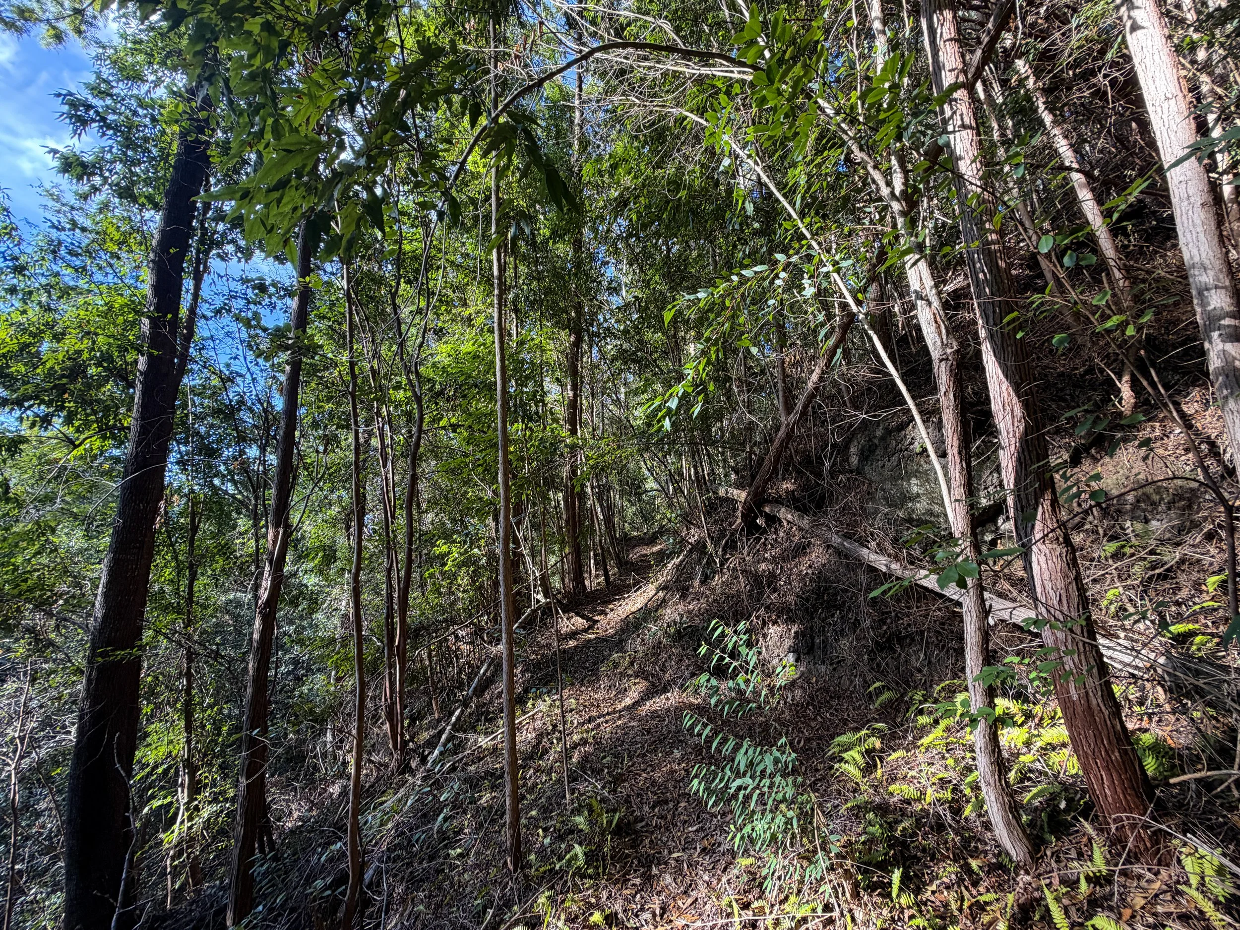 Mokuleia Trail Oahu Hawaii