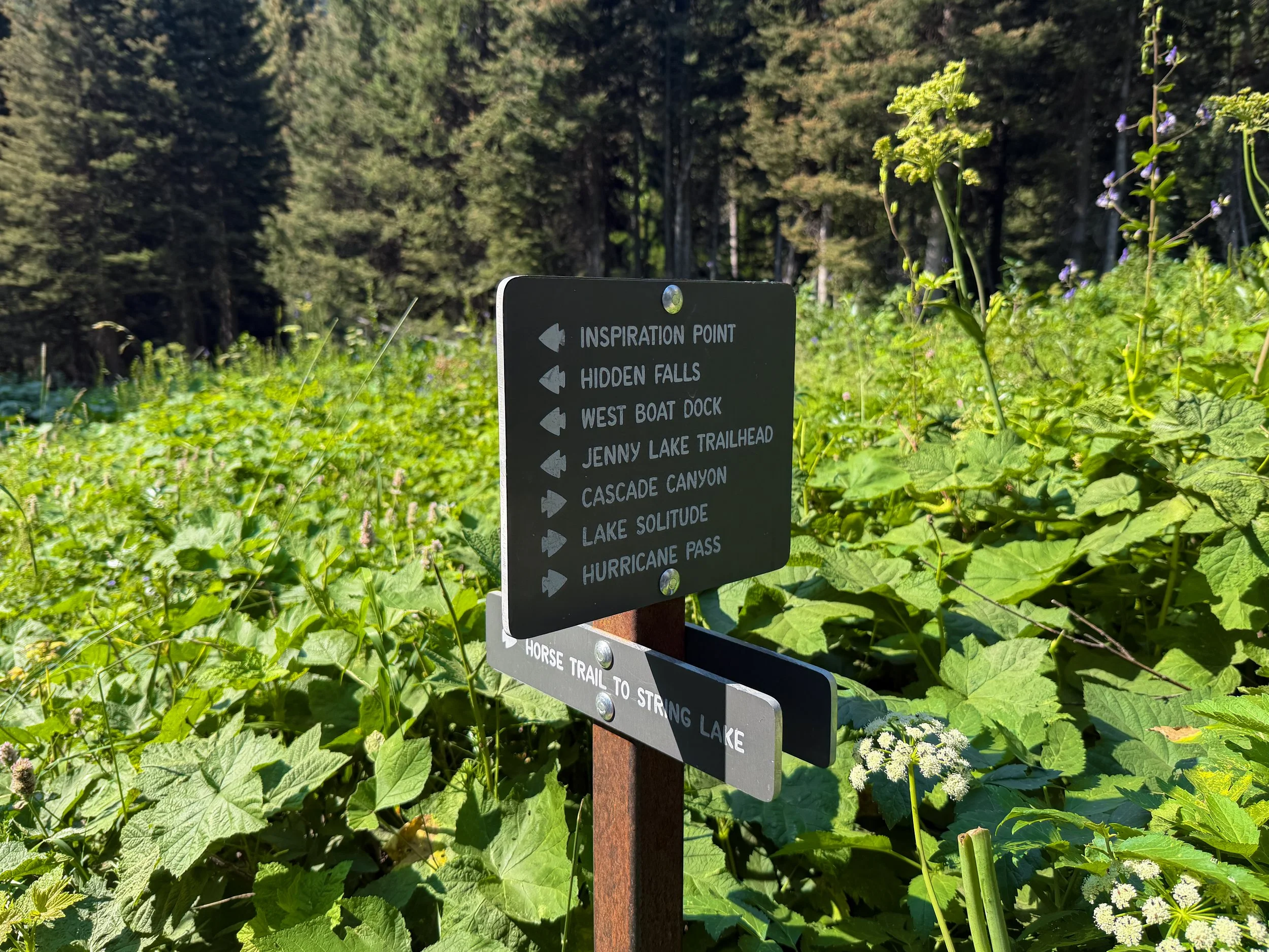 Inspiration Point to Cascade Canyon Trail Grand Teton National Park Wyoming