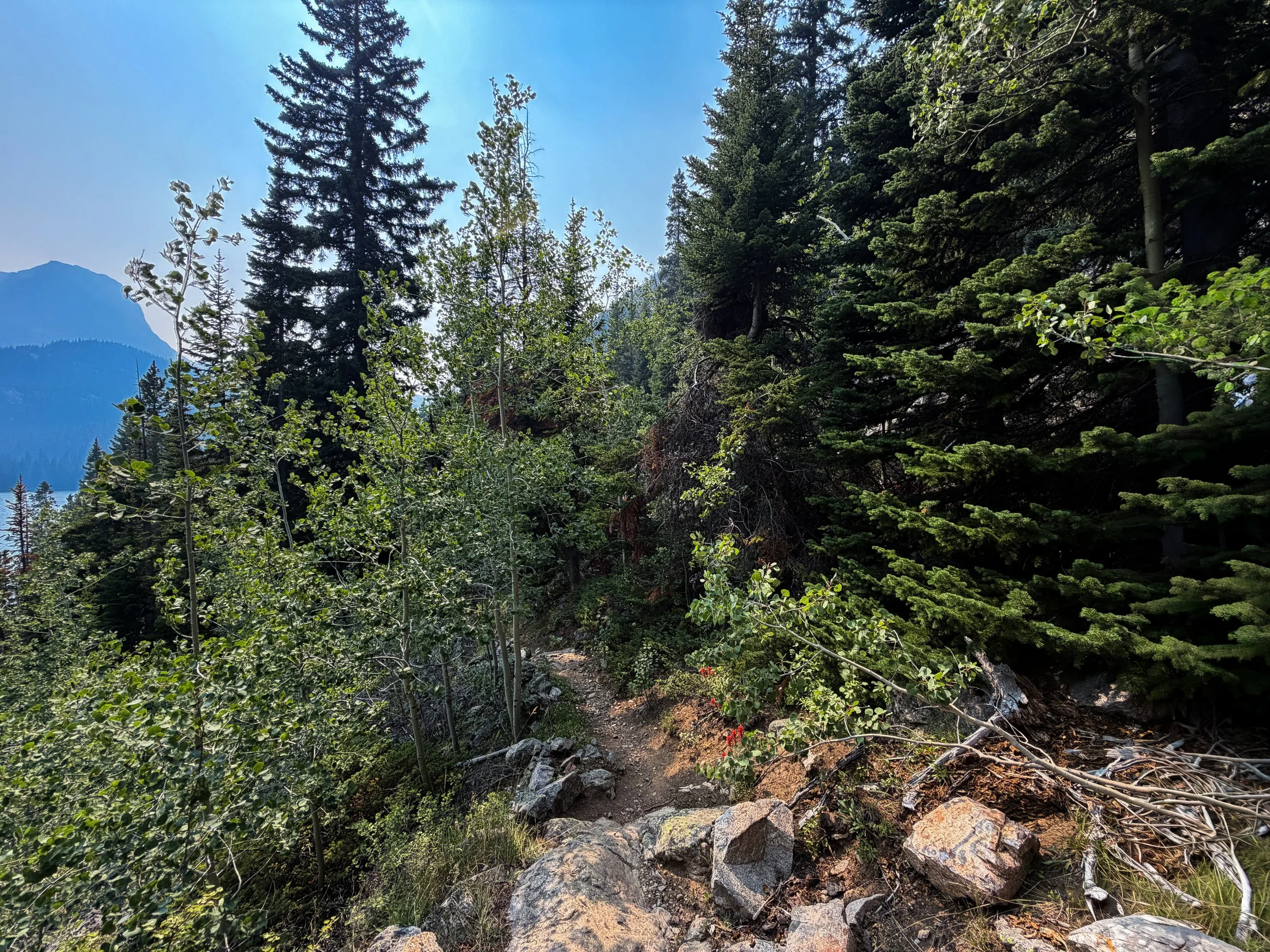 Beaten Path Trail Beartooth Mountains Montana
