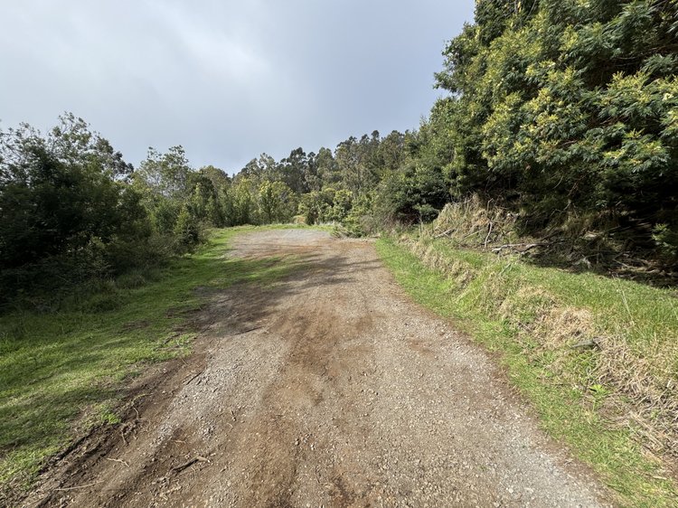Hiking the Waiakoa Loop Trail on Maui, Hawaiʻi — noahawaii