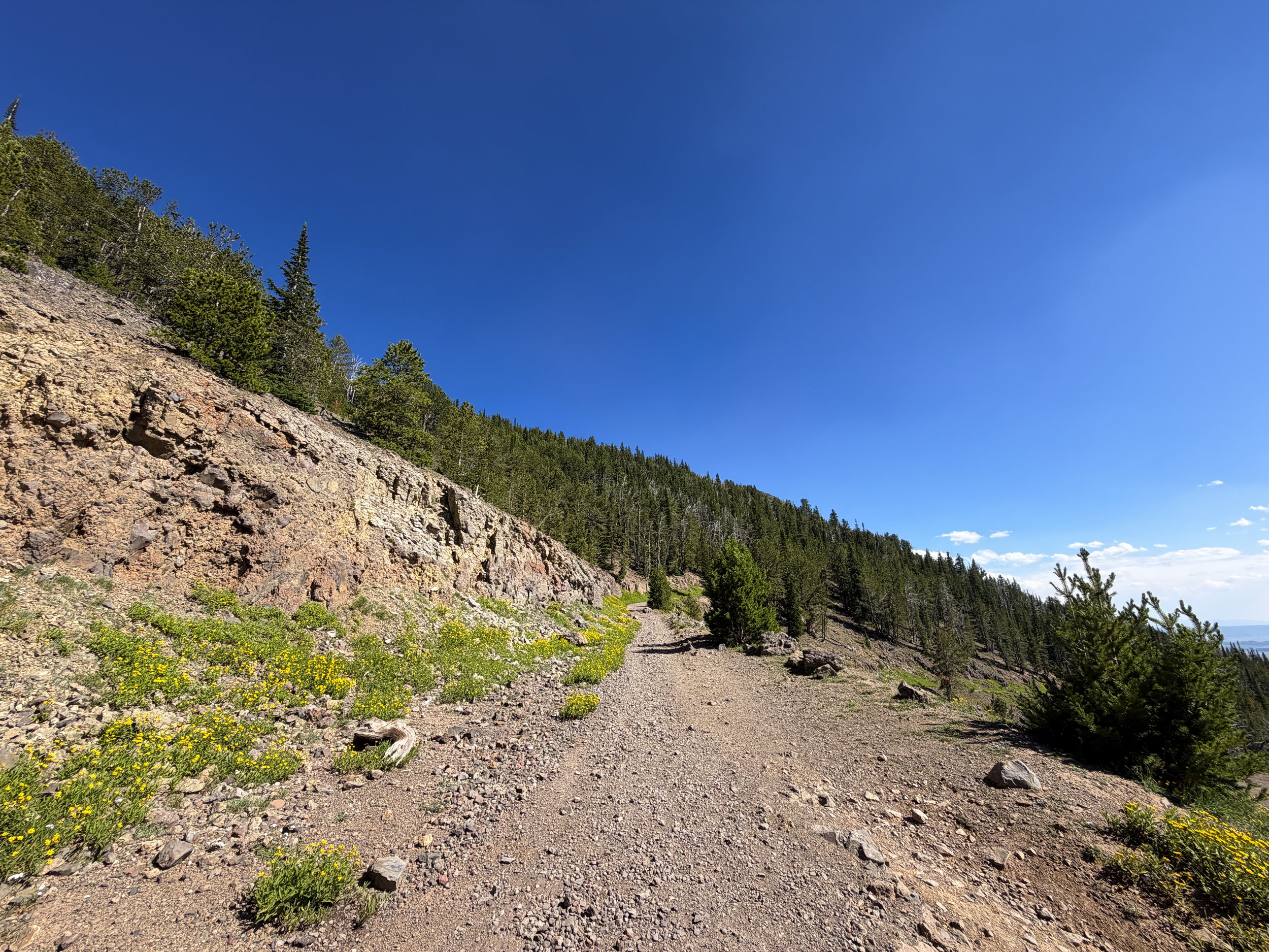 Mt. Washburn Hike via Dunraven Pass Yellowstone National Park Wyoming