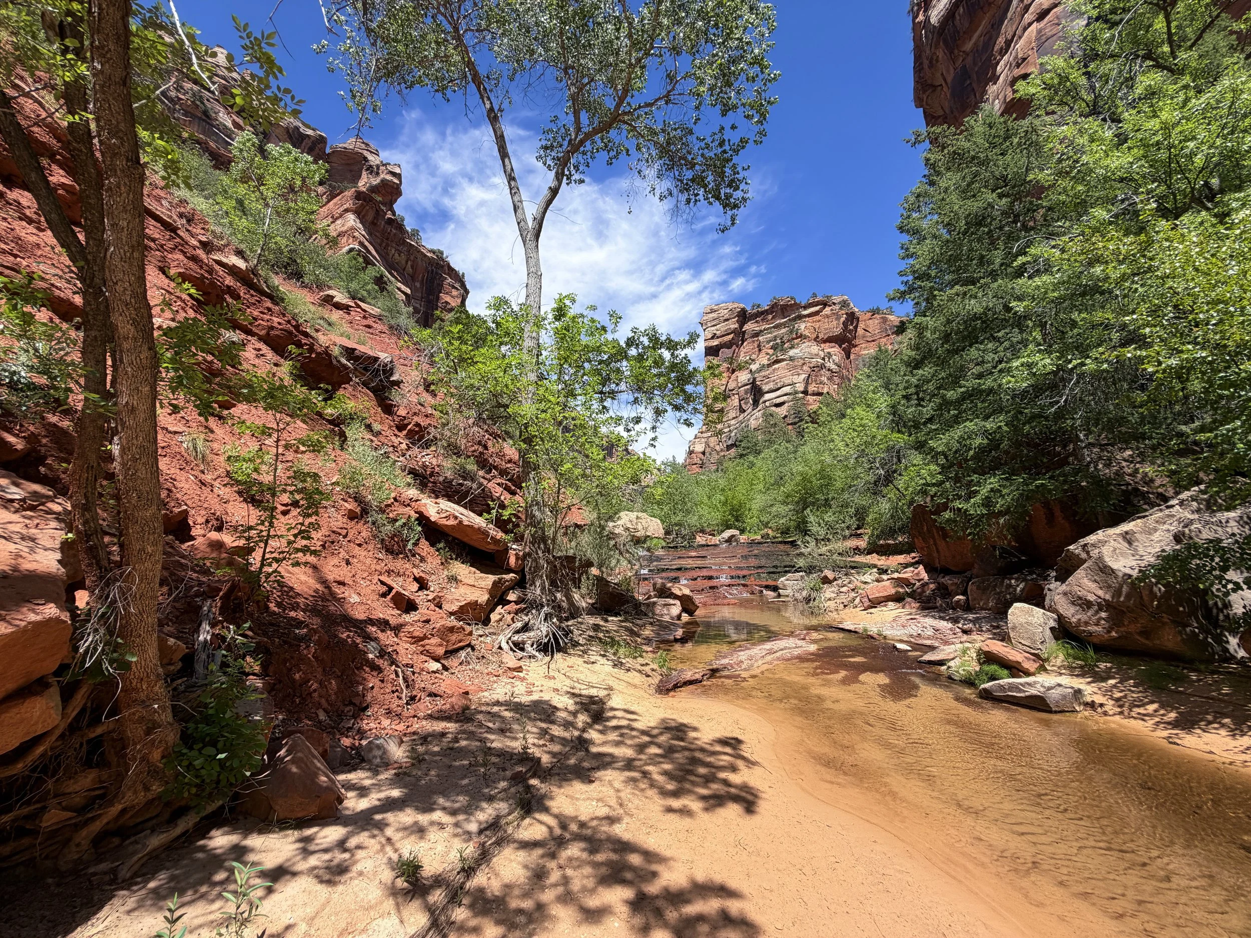 Left Fork Trail to the Subway Zion National Park Utah