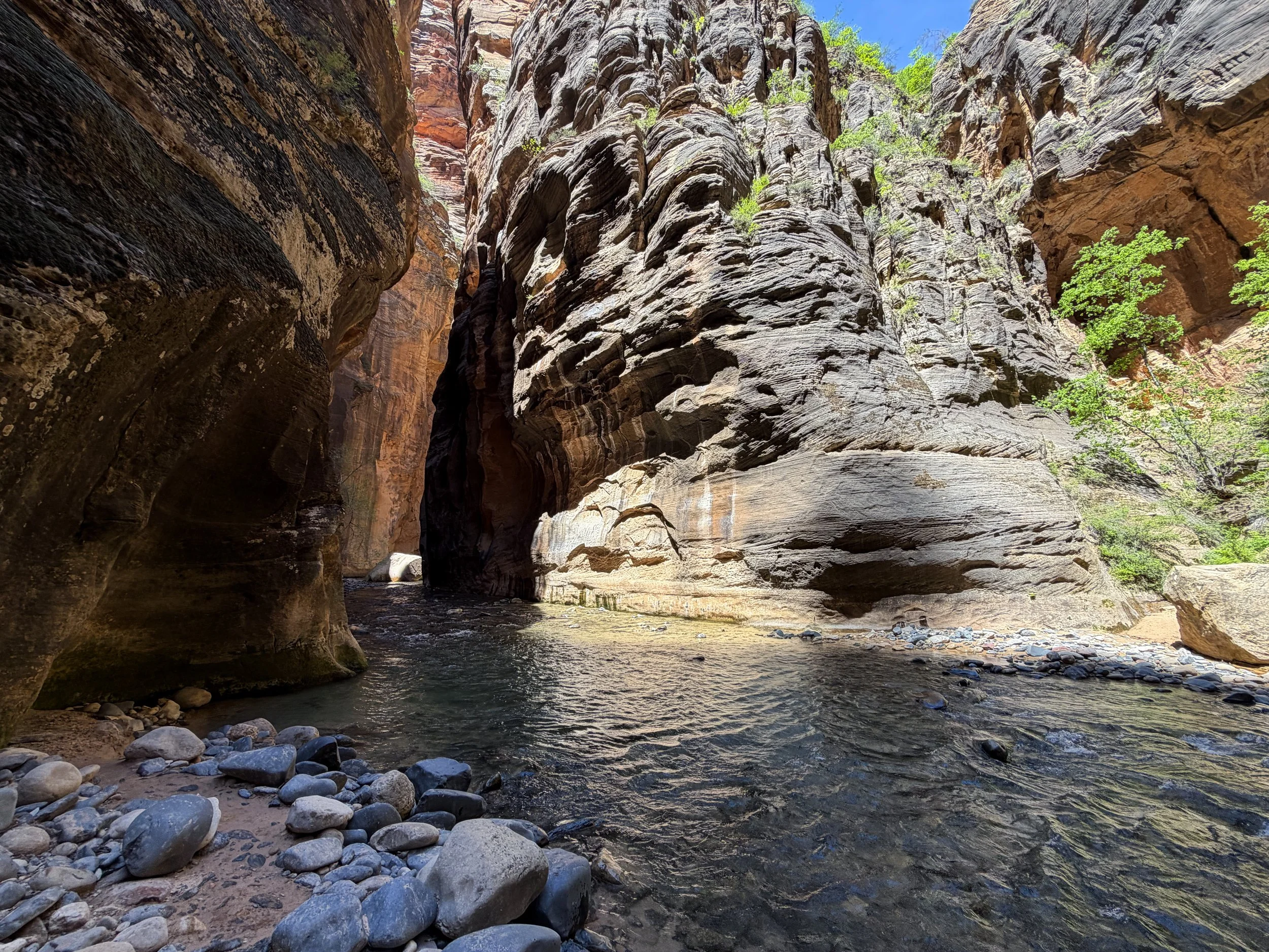 Imlay Canyon Narrows Zion National Park Utah