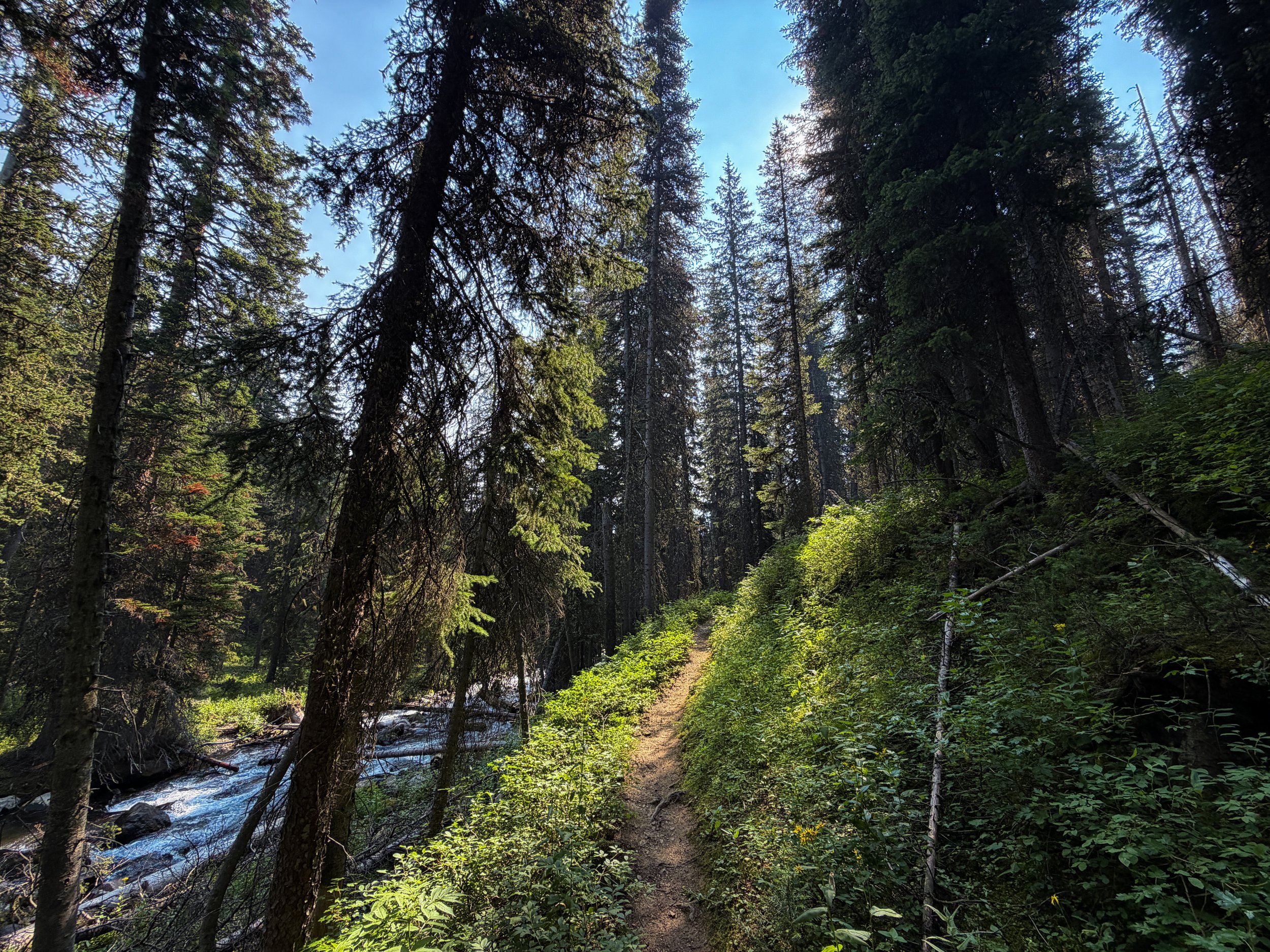 East Rosebud Trail The Beaten Path Beartooth Mountains Montana