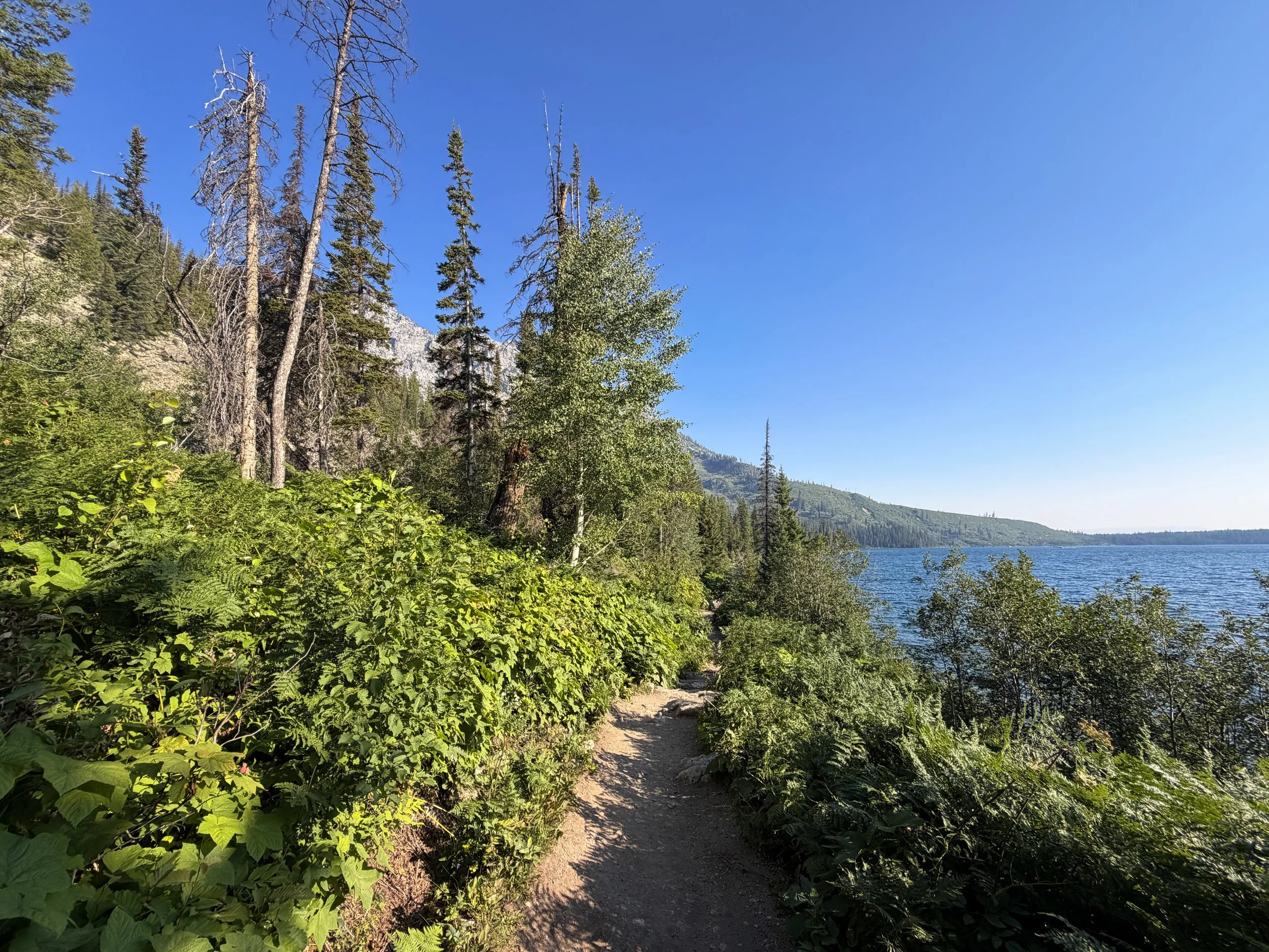 Hidden Falls Trail Grand Teton National Park Wyoming