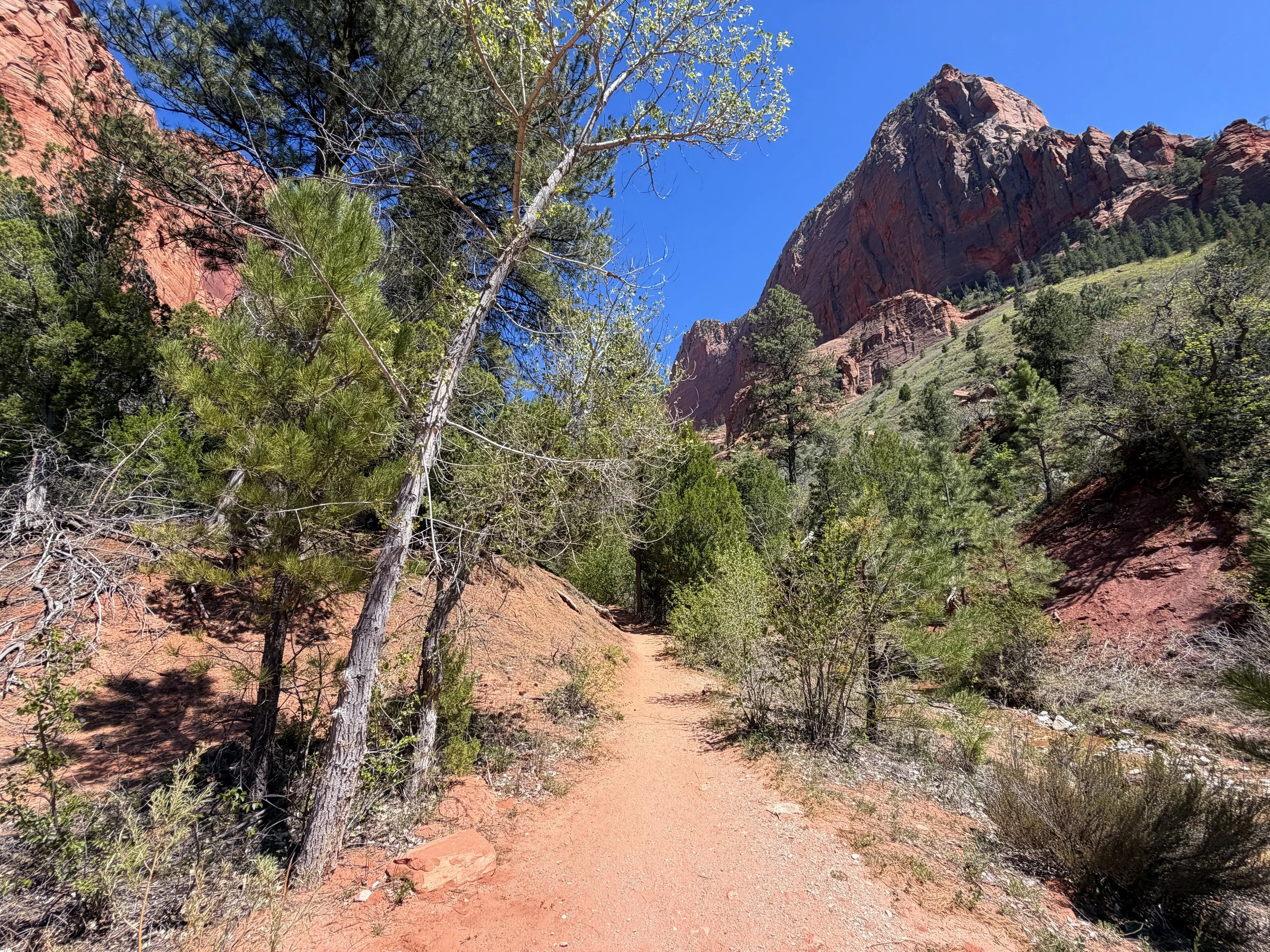 Taylor Creek Trail Zion National Park Utah