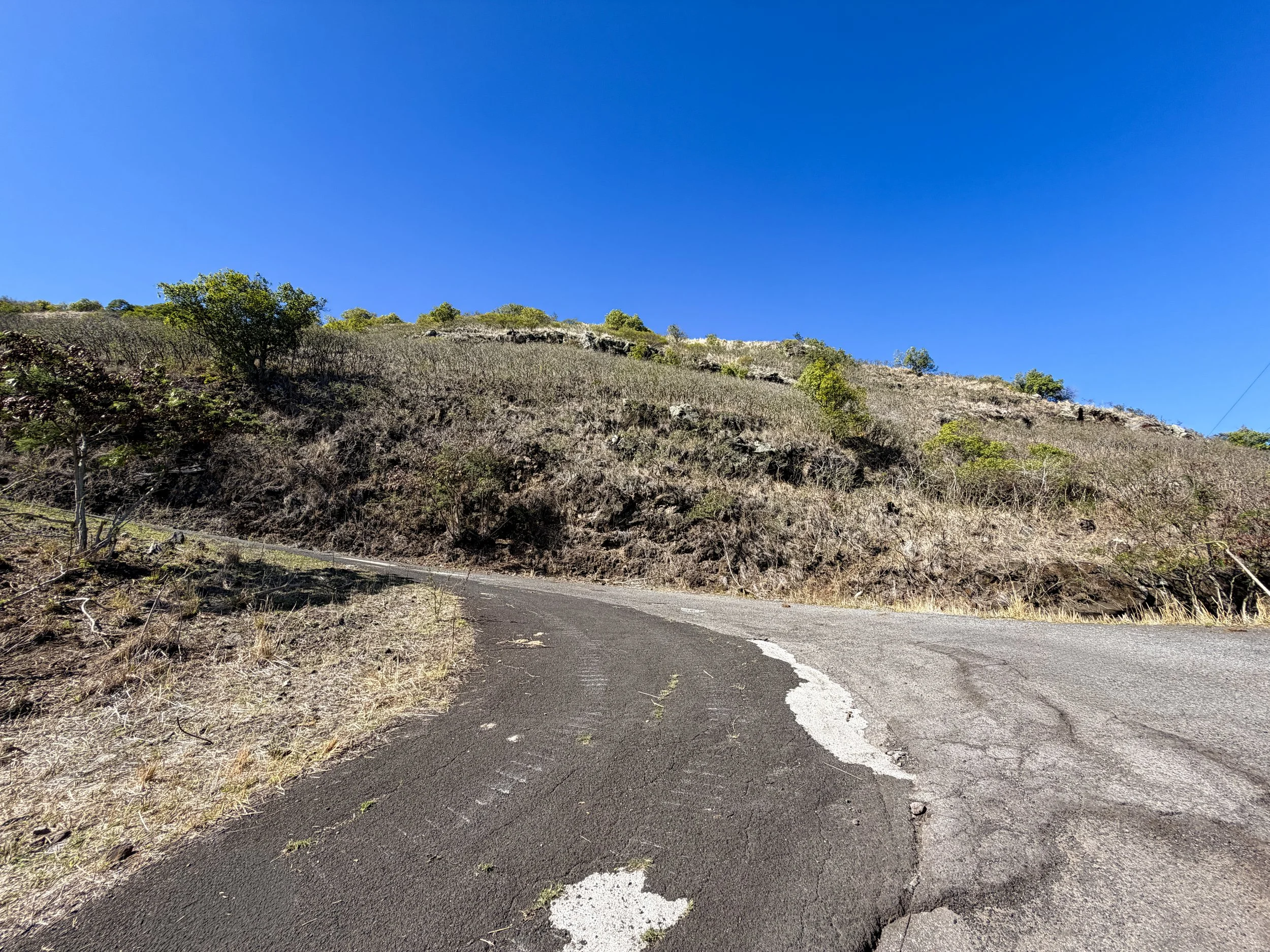 Mokuleia Forest Reserve Access Road Oahu Hawaii