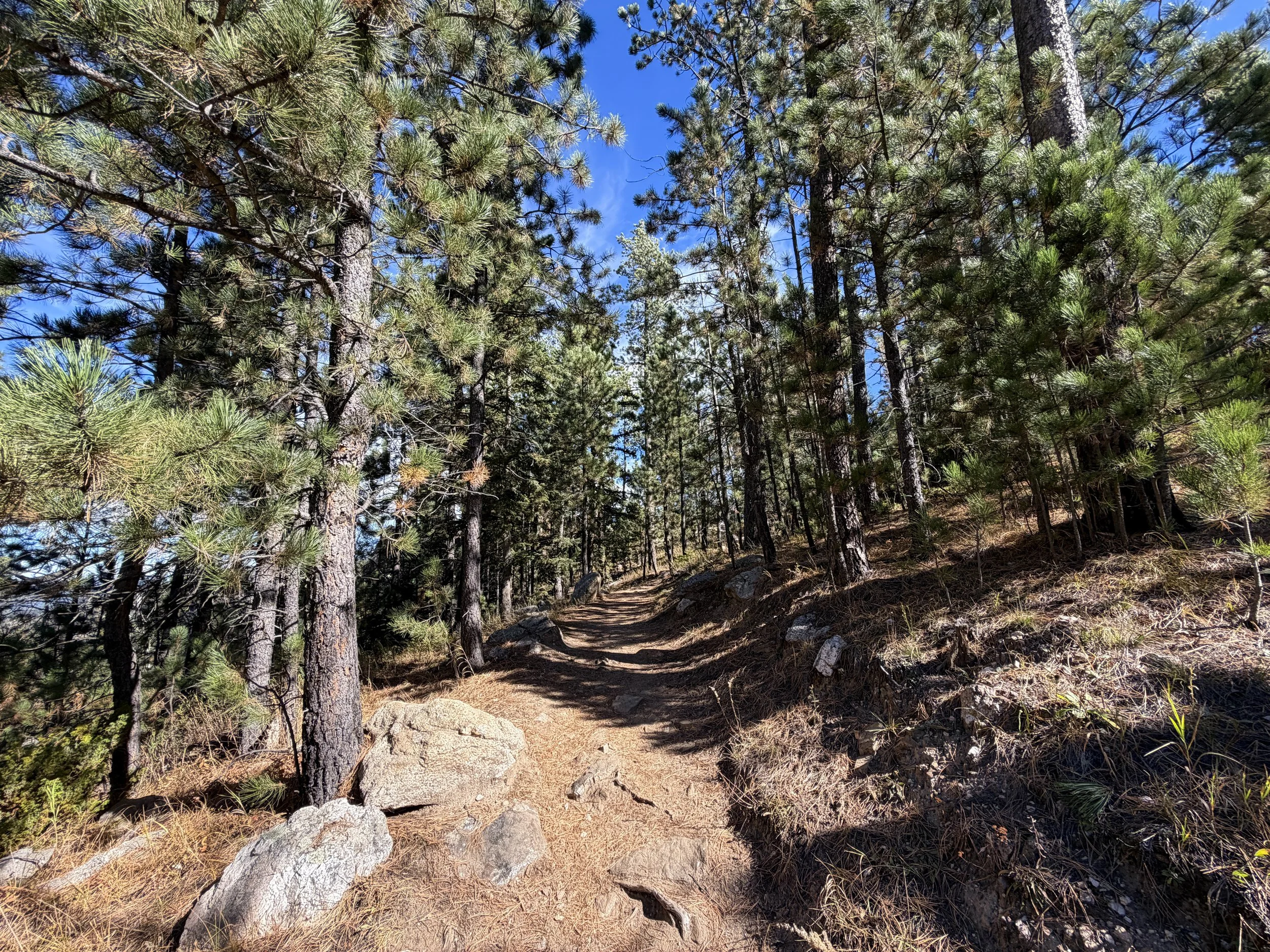 Sunday Gulch Trail Custer State Park Black Hills South Dakota