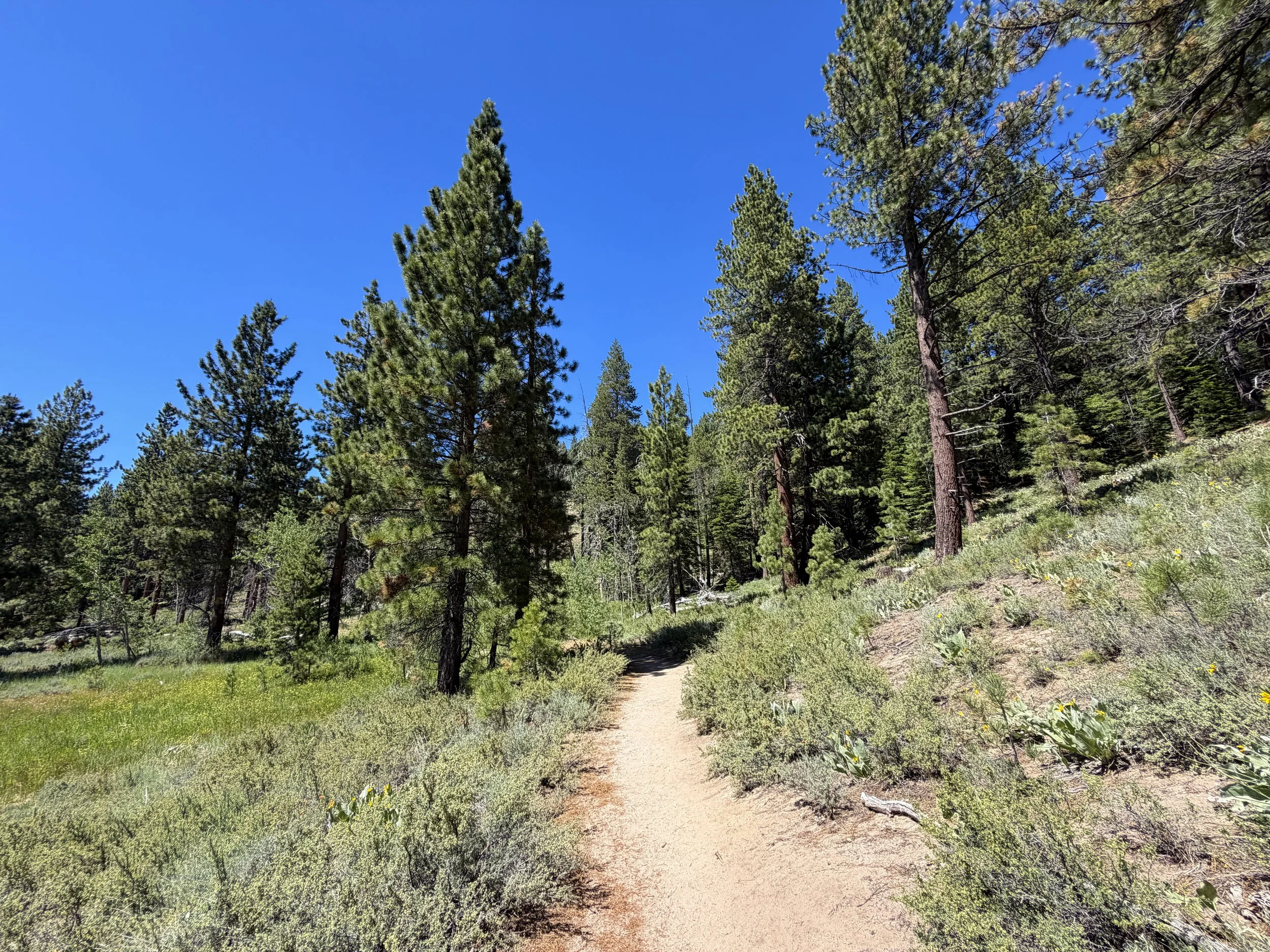 Spooner Lake Loop Hike Lake Tahoe Nevada