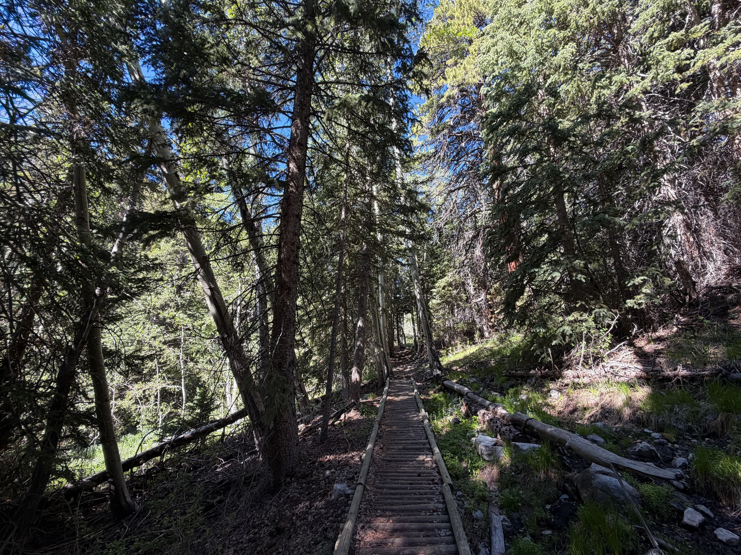 Baker Lake Hike Great Basin National Park Nevada