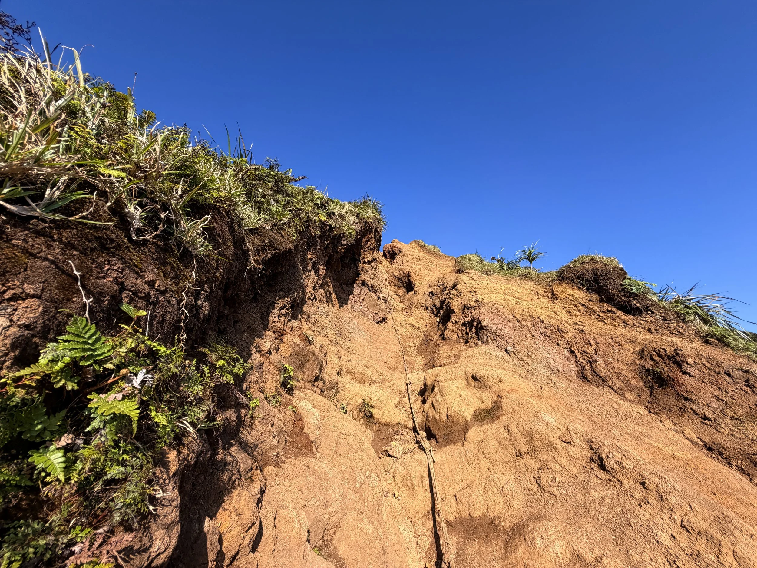 Moanalua Middle Ridge Trail Stairway to Heaven Ropes Oahu Hawaii