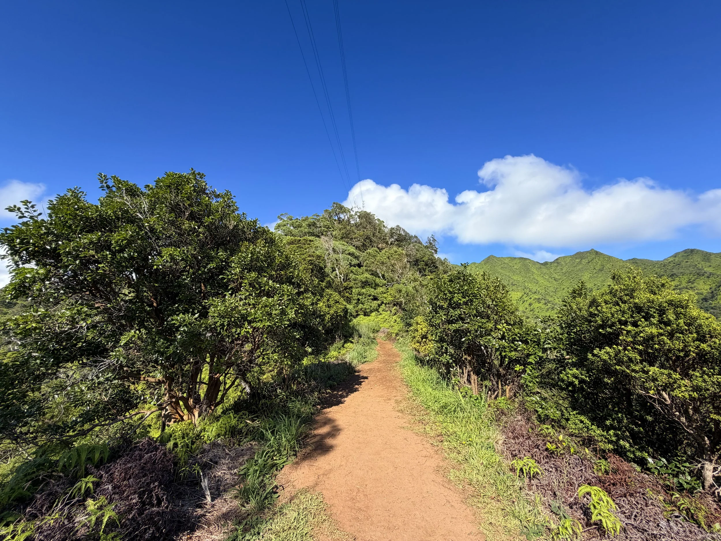 Wiliwilinui Ridge Trail Oahu Hawaii