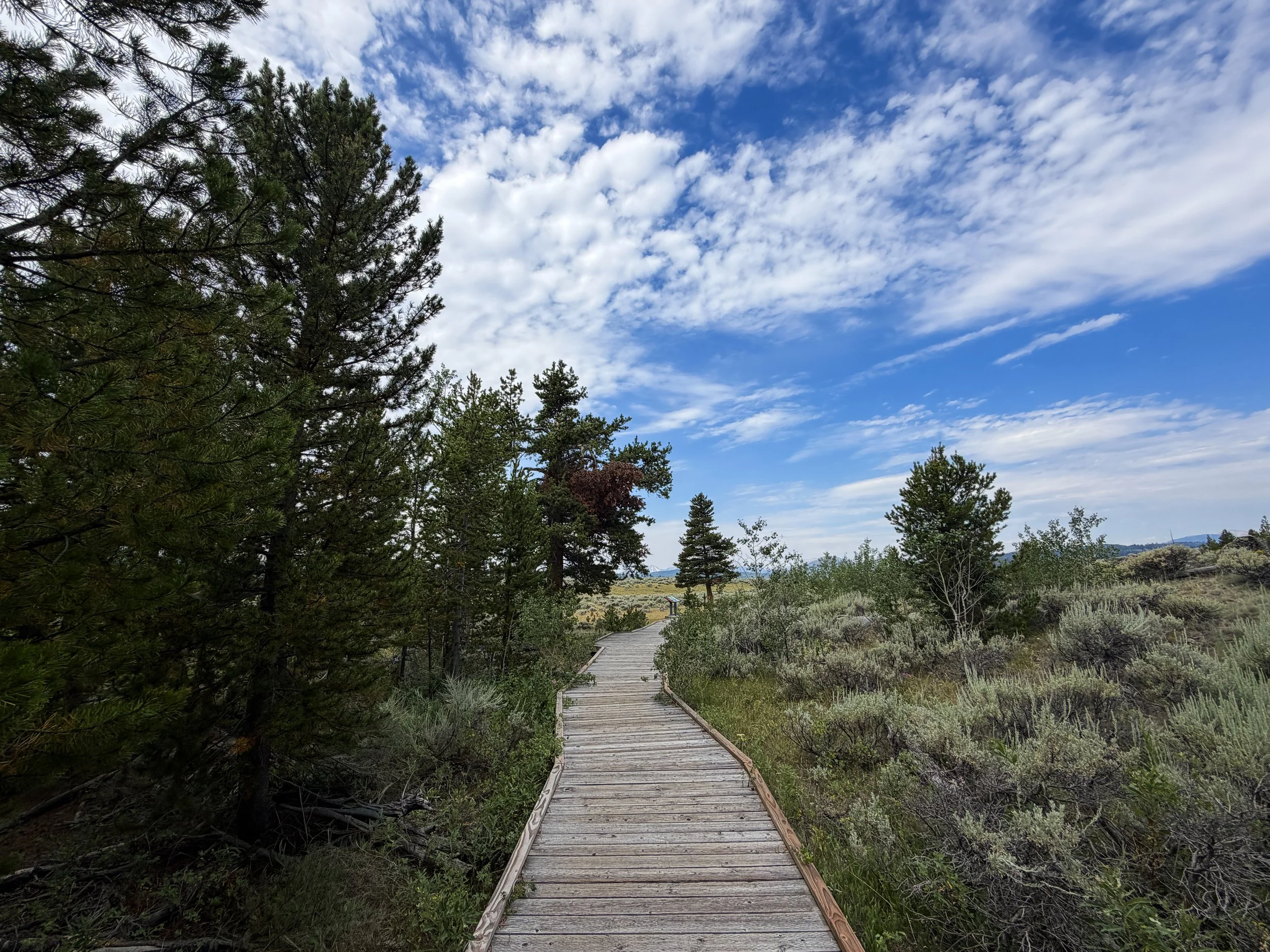 Forces of the Northern Range Trail Yellowstone National Park Wyoming