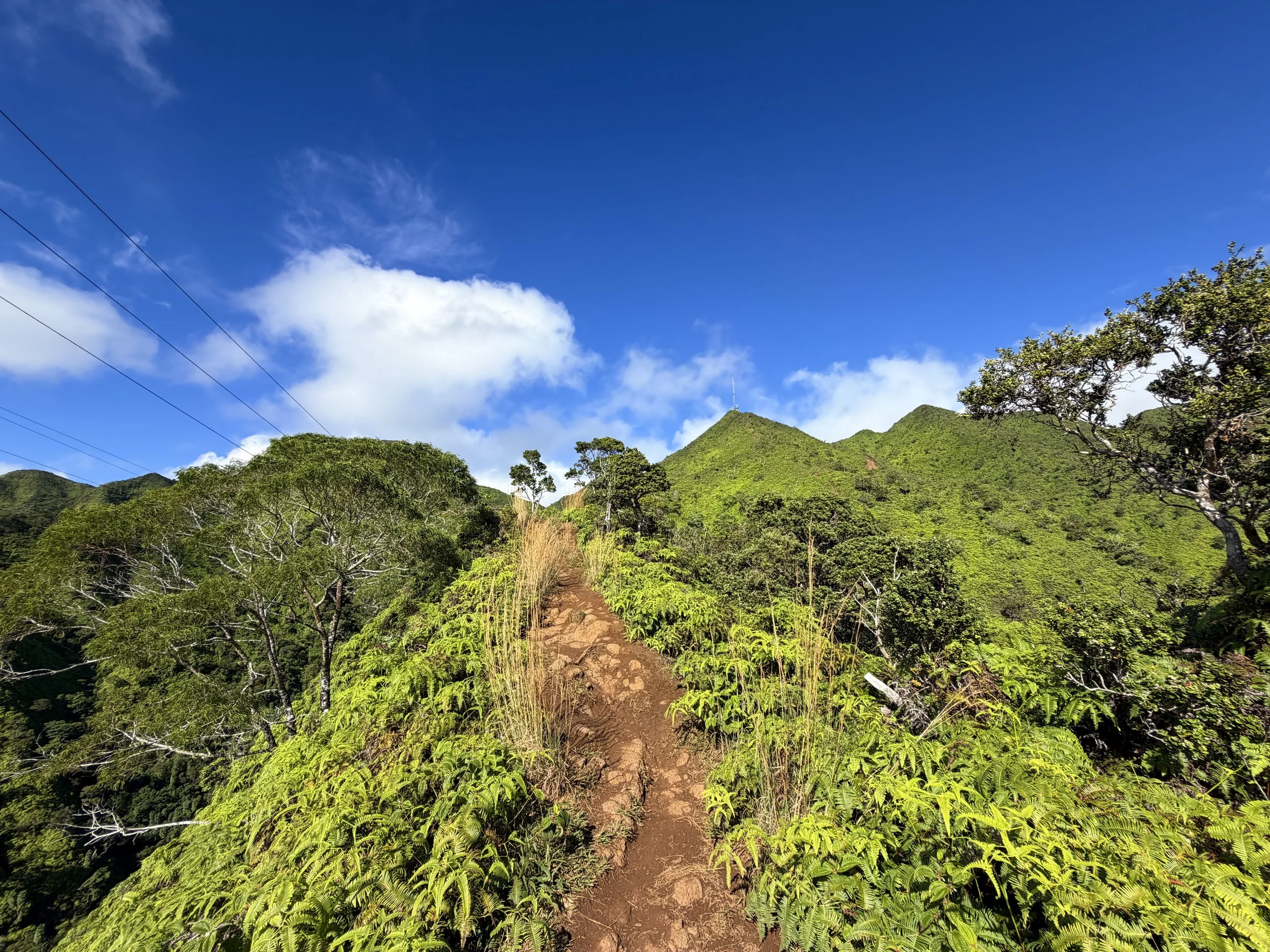 Wiliwilinui Ridge Trail Oahu Hawaii