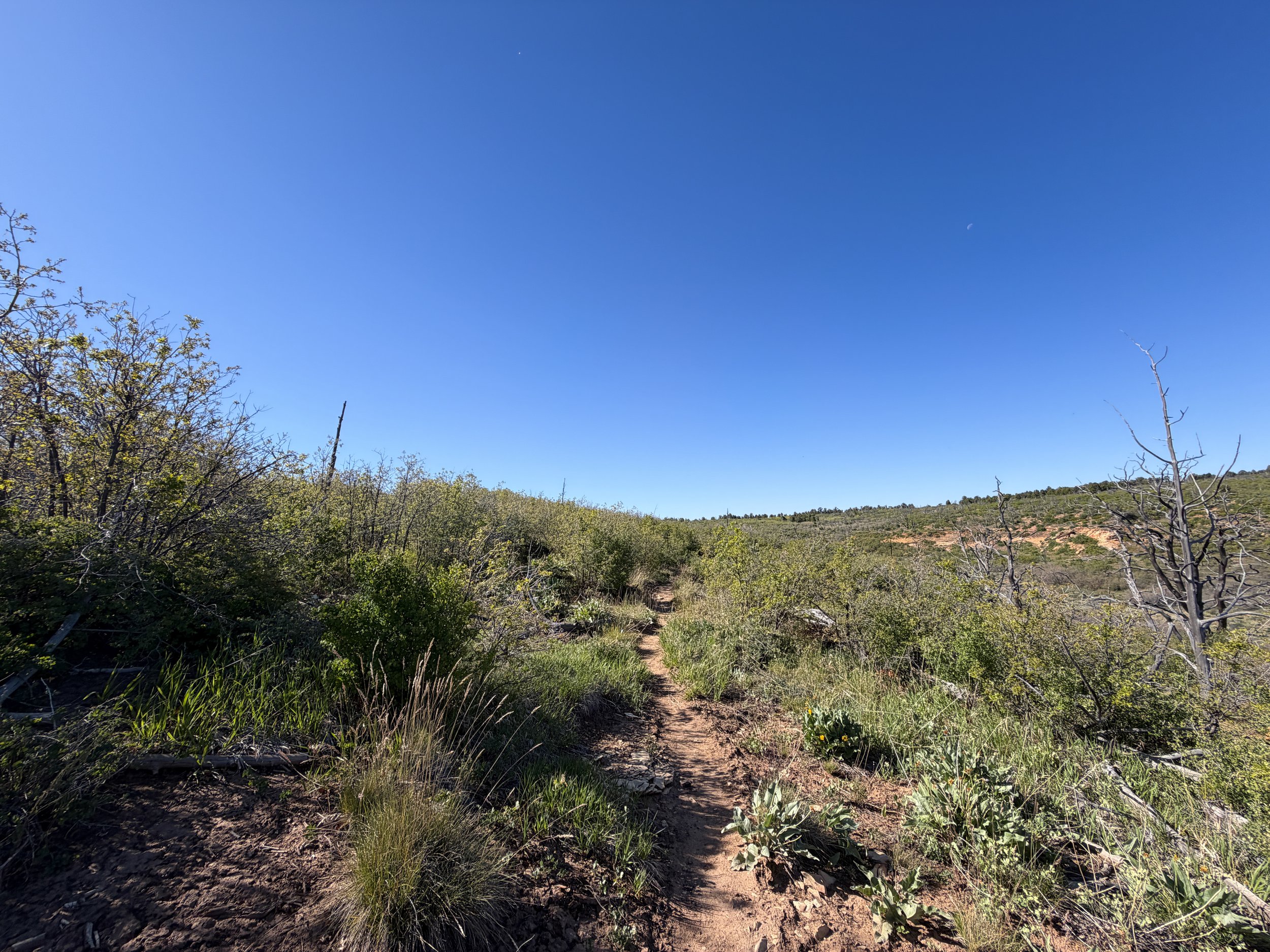 Deertrap Mountain Trail Zion National Park Utah
