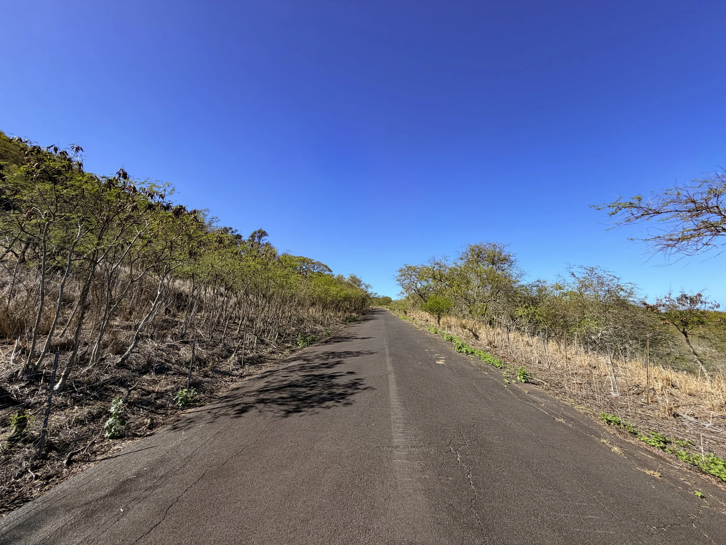 Mokuleia Access Road Trail Oahu Hawaii