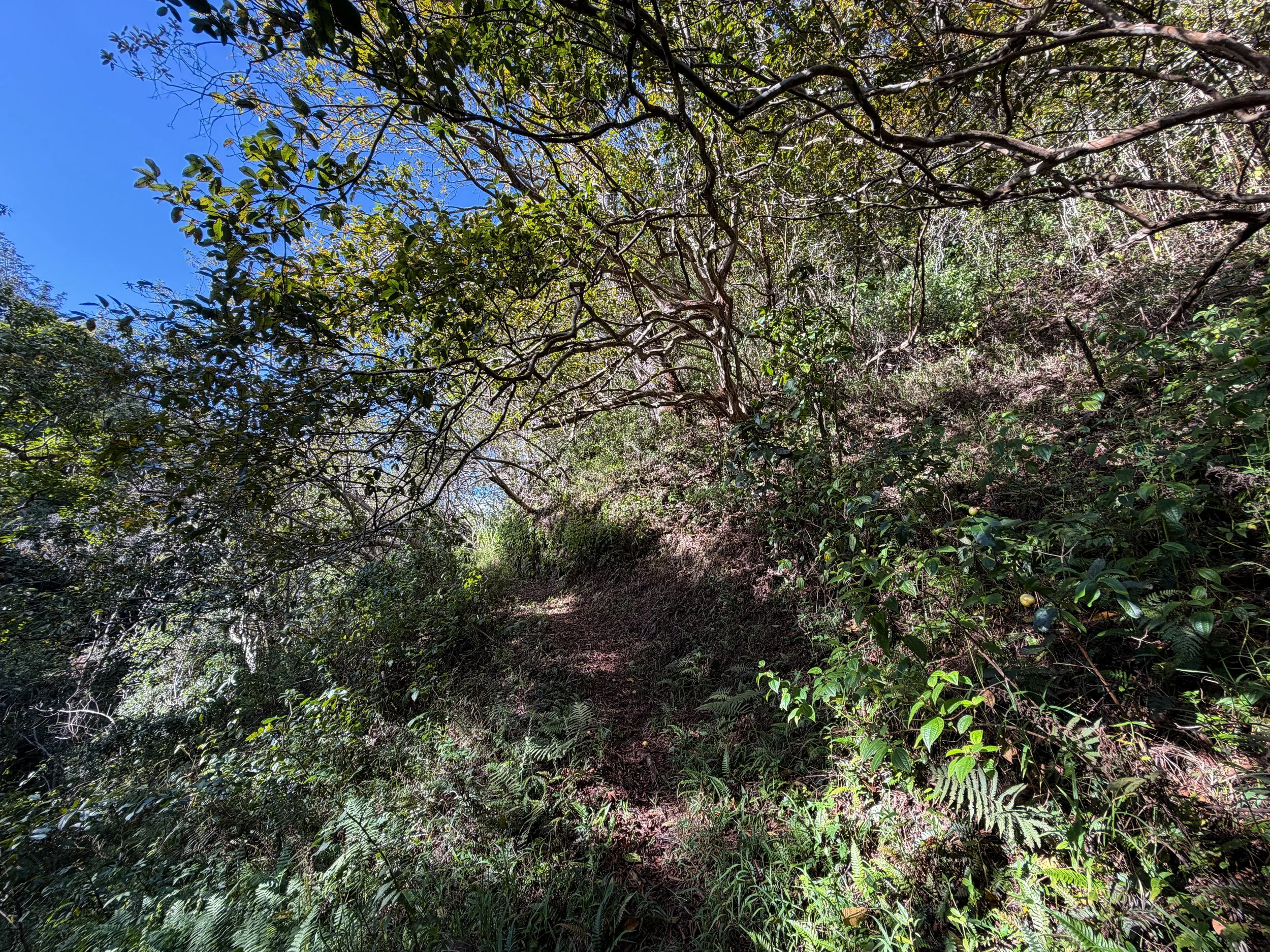 Mokuleia Trail Oahu Hawaii