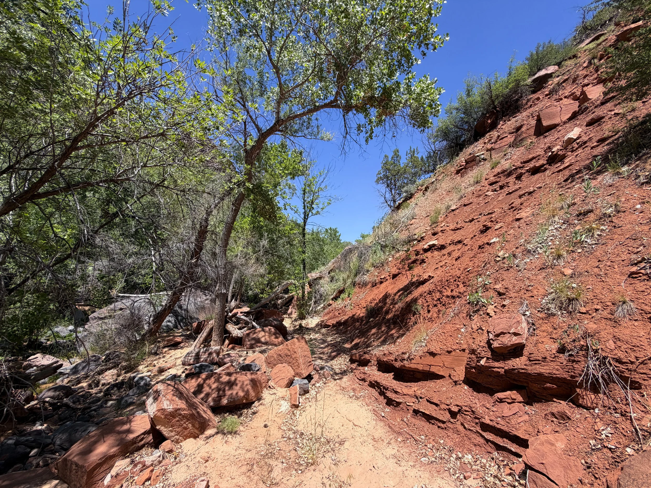 Grapevine Trail to Left Fork Falls Zion National Park Utah