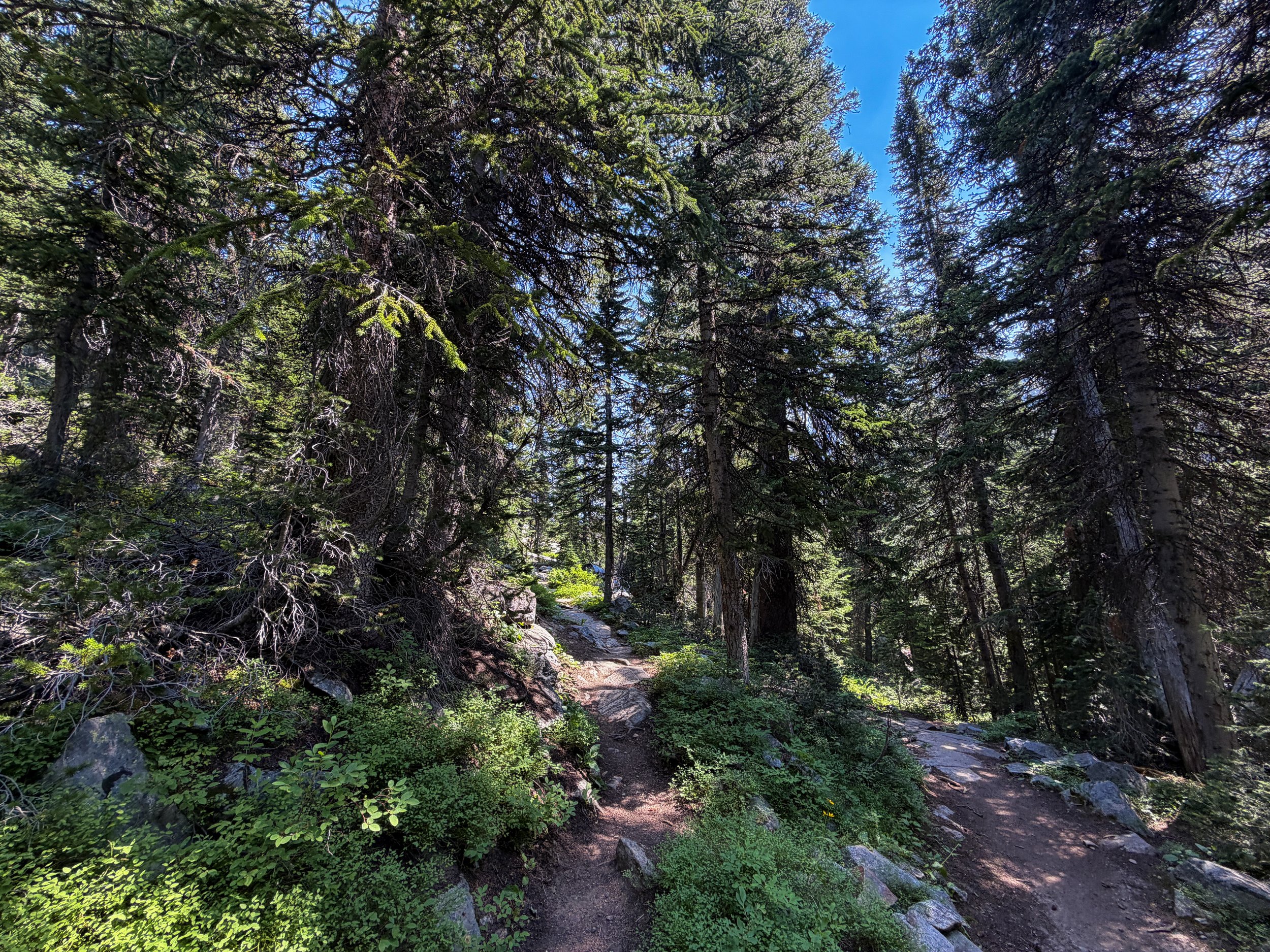 East Rosebud Trail The Beaten Path Beartooth Mountains Montana