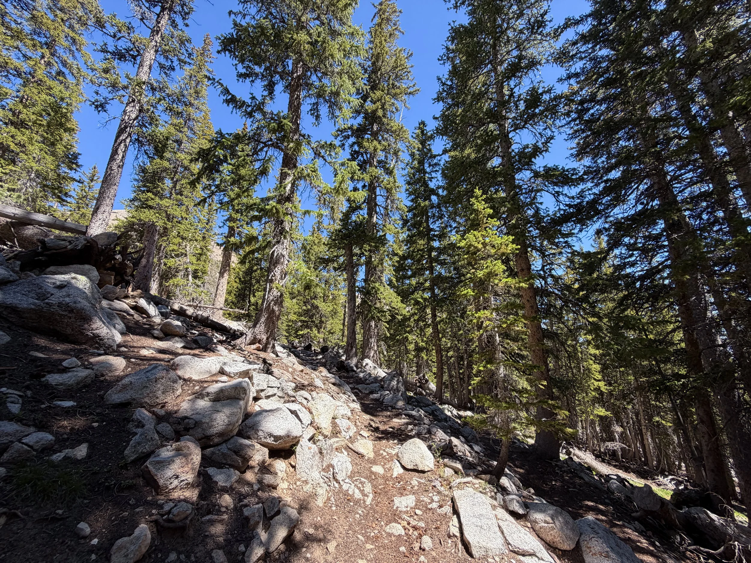 Baker Lake Trail Great Basin National Park Nevada