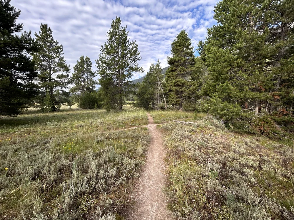 Hiking the Moose Ponds Loop Trail in Grand Teton National Park — noahawaii